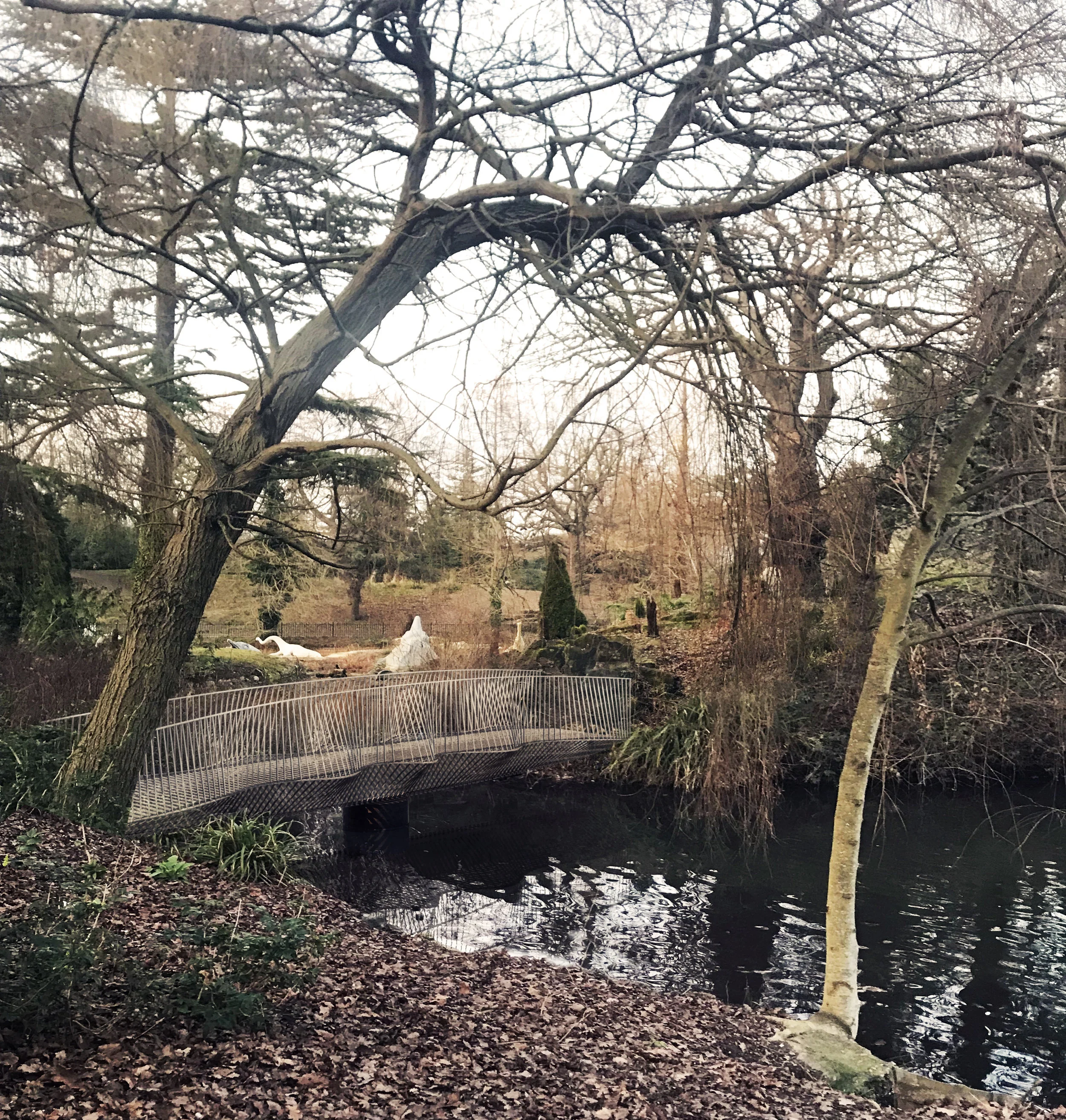 Dinosaur Swing Bridge shortlisted for NLA Award