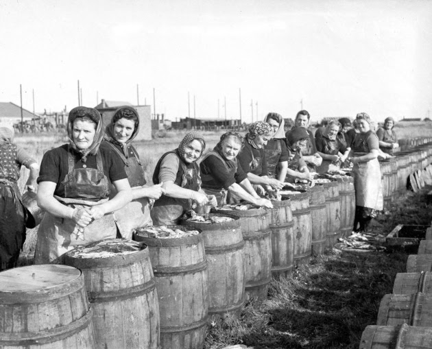 Tonkin Liu chosen to work alongside RIBA Future Place