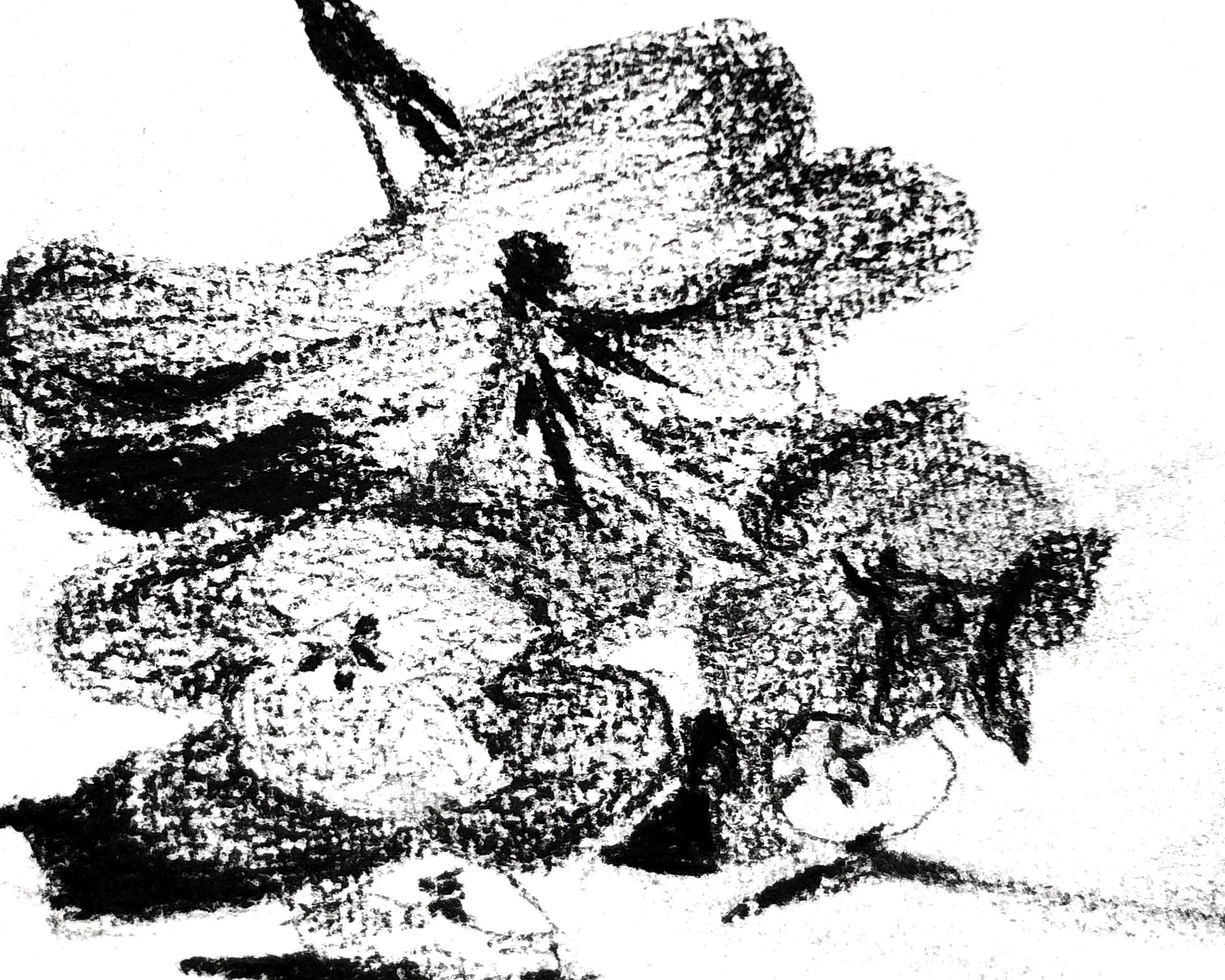 Postcard Club No. 1: Meeting in Nature