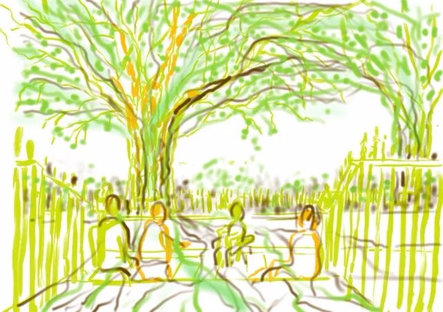 Postcard Club No. 4: The Tree You See 