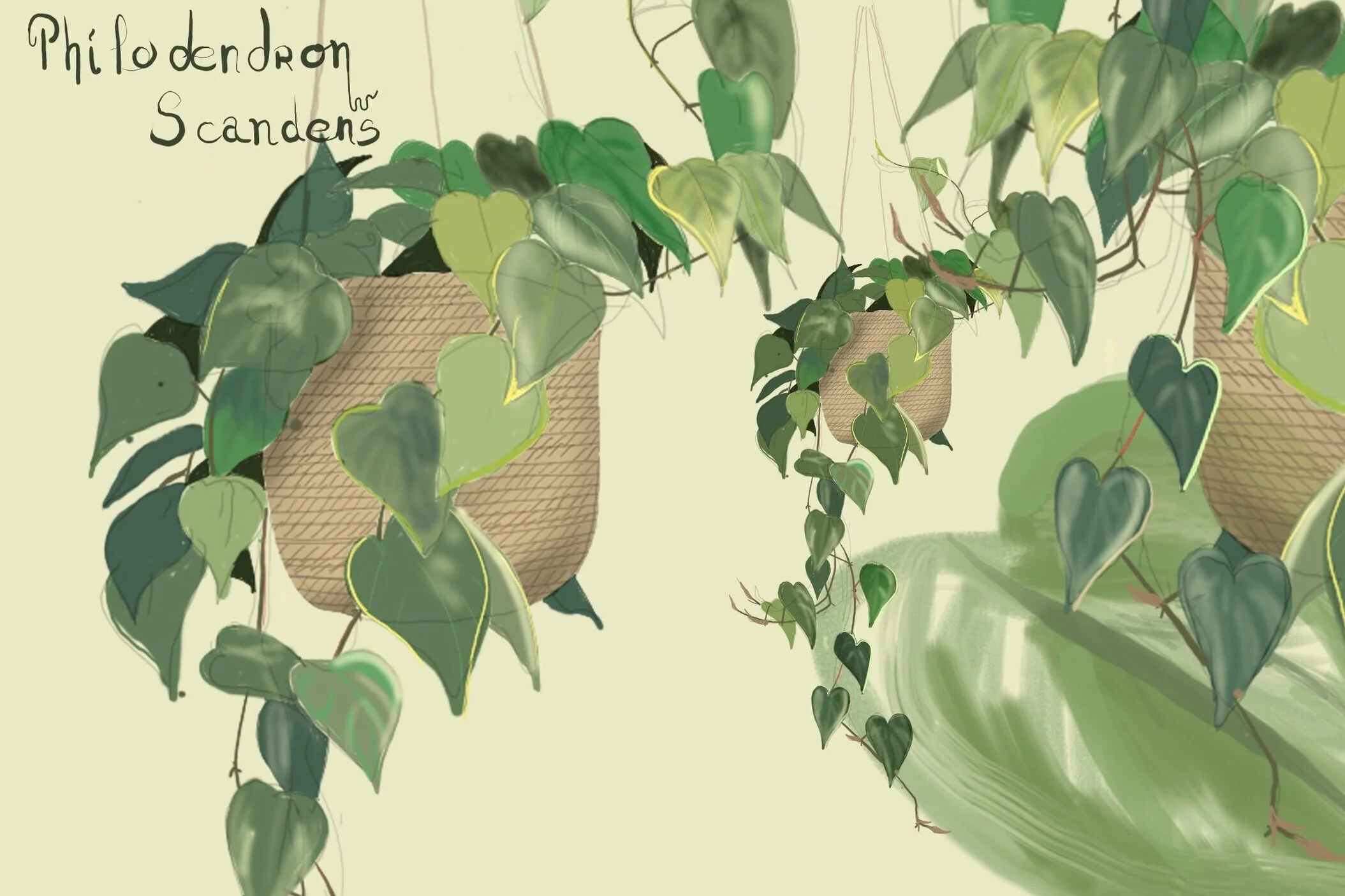 Postcard Club No. 5: The Tree You Love 