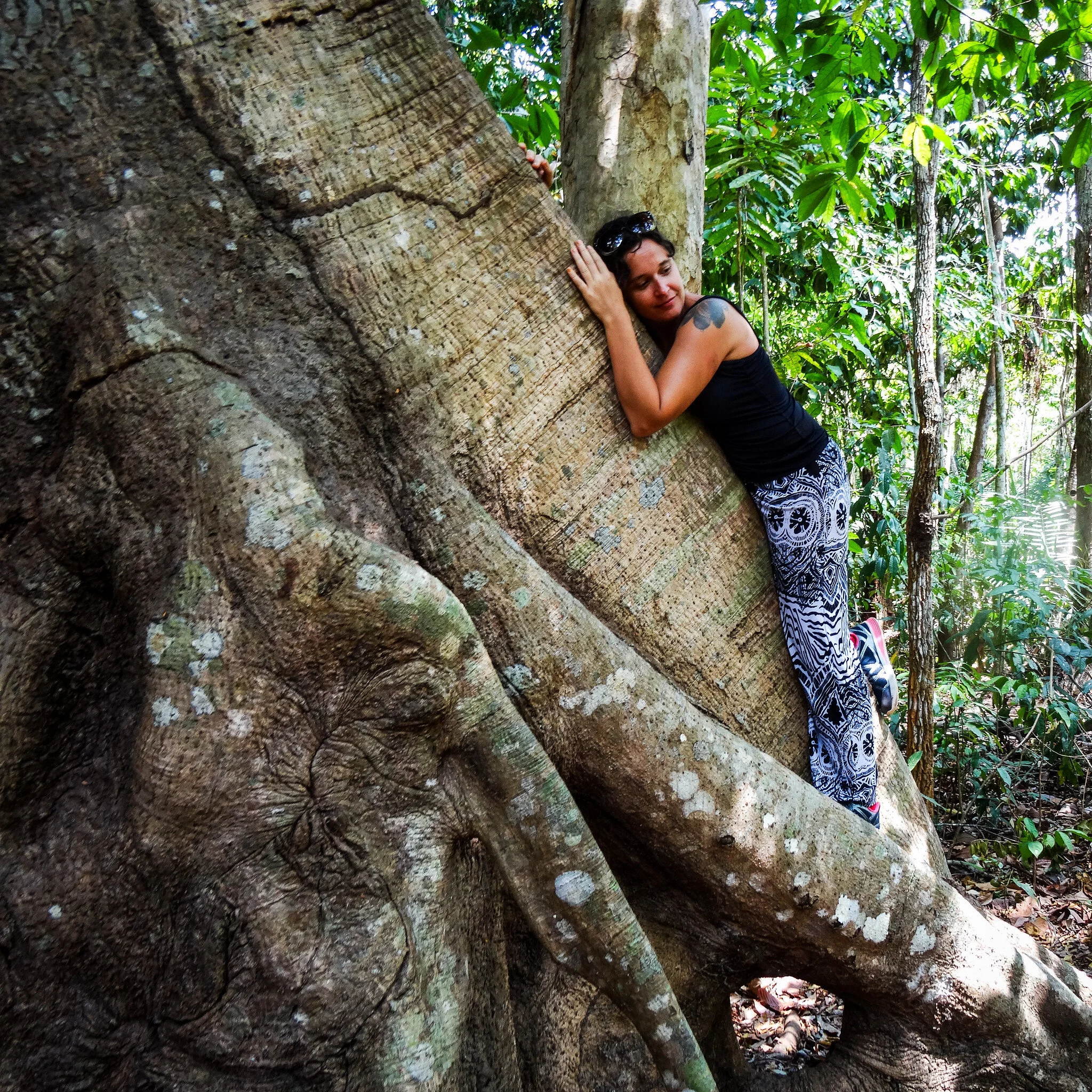 Tranquility and the City 