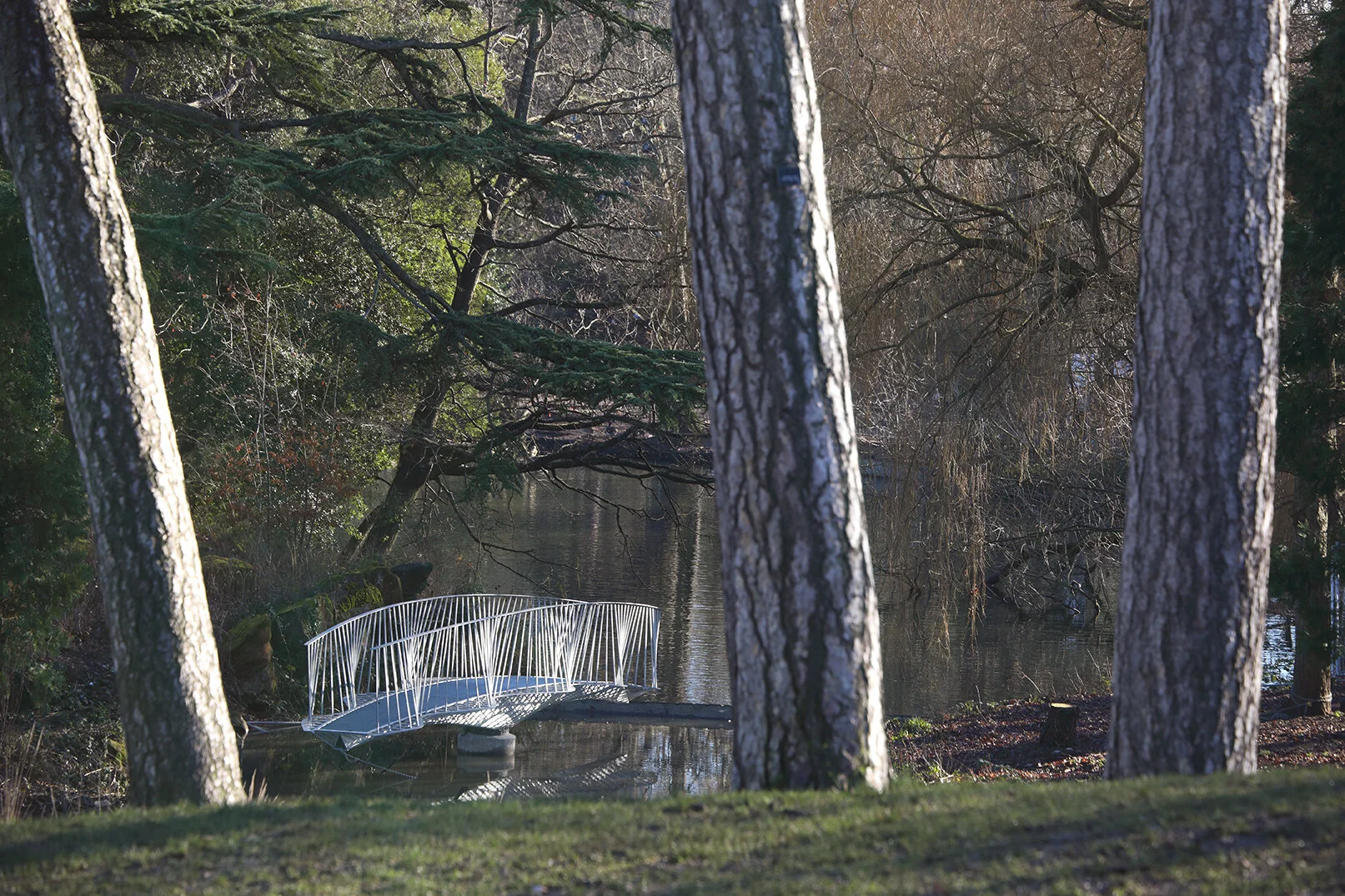 Swing Bridge Completed in Crystal Palace Park