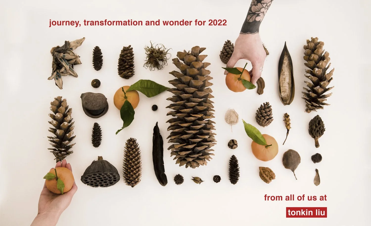 2022 Wishes From Tonkin Liu