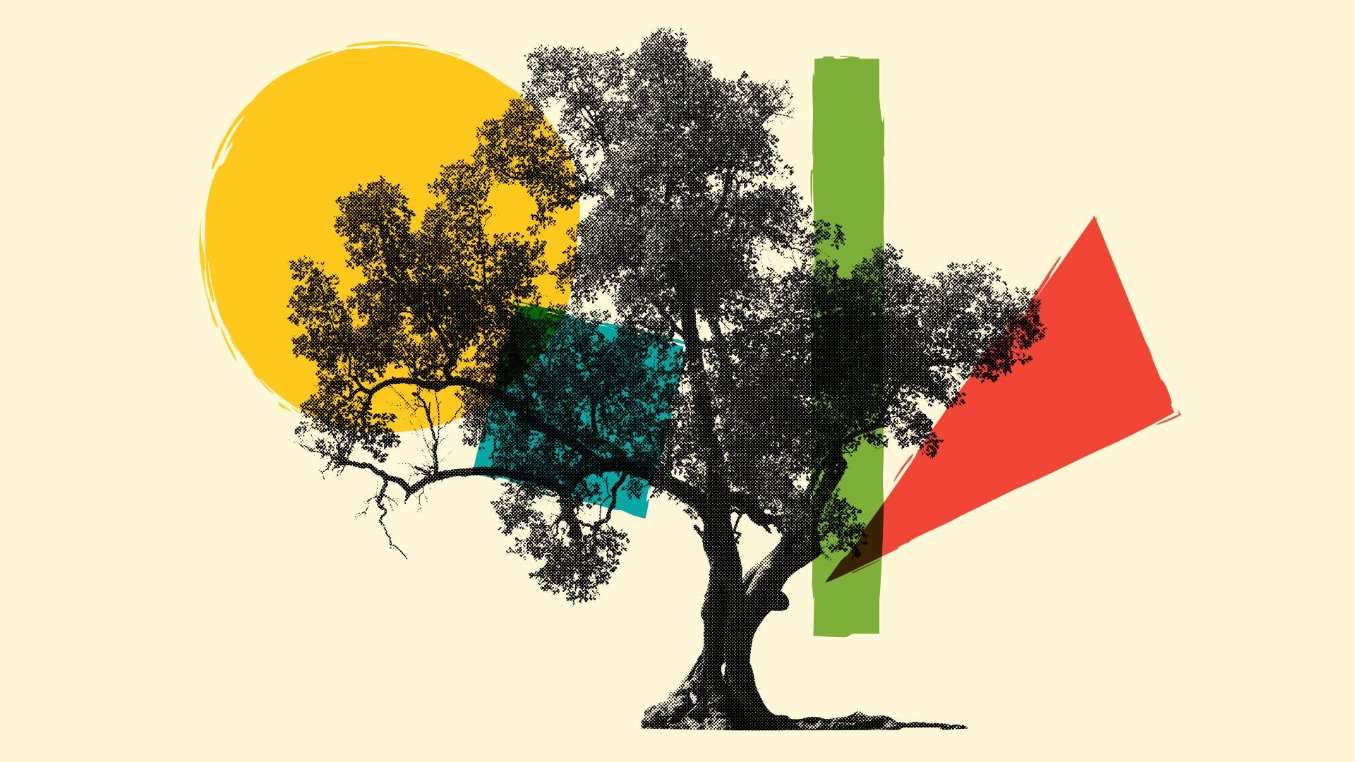 Tonkin Liu Shortlisted for Kew Garden's Treehouse Competition