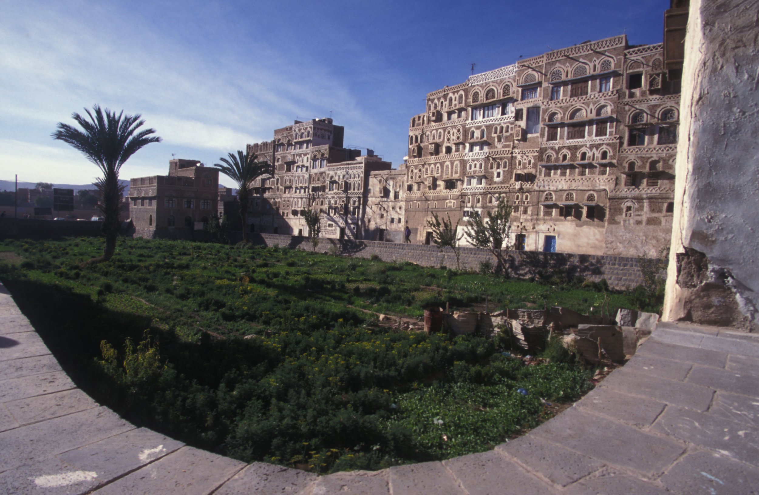 Yemen_sana sunken garden_MikeTonkin.jpg