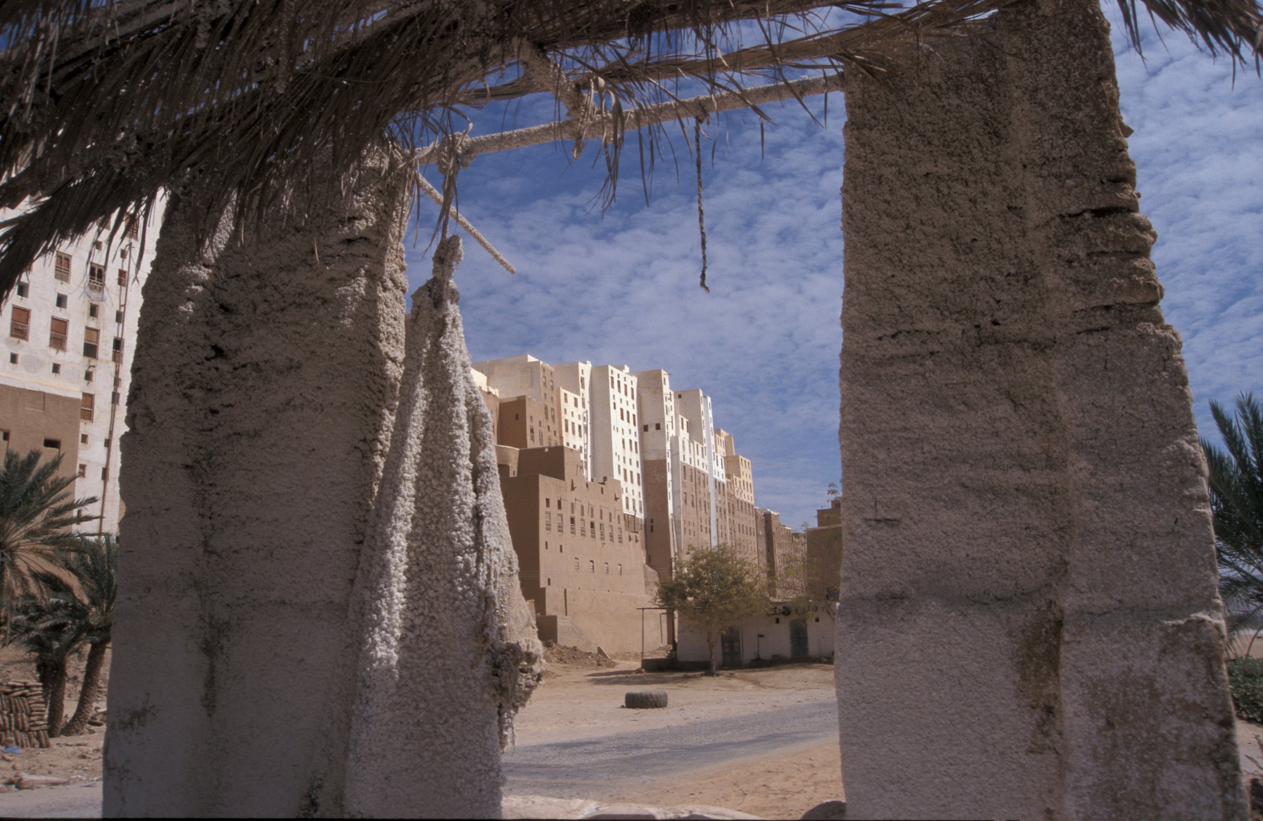 Yemen_shibam gypsum shelter  _MikeTonkin.jpg