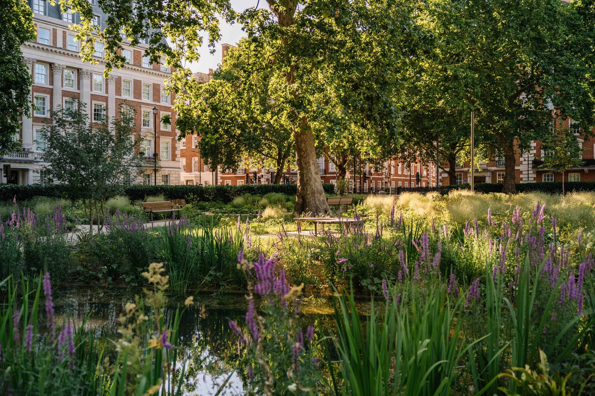 Grosvenor_Square_Gardens_London_Velvet_Green_LOW_RES_Stuart_Bailey_Photography_2026-07-06_0032.jpg