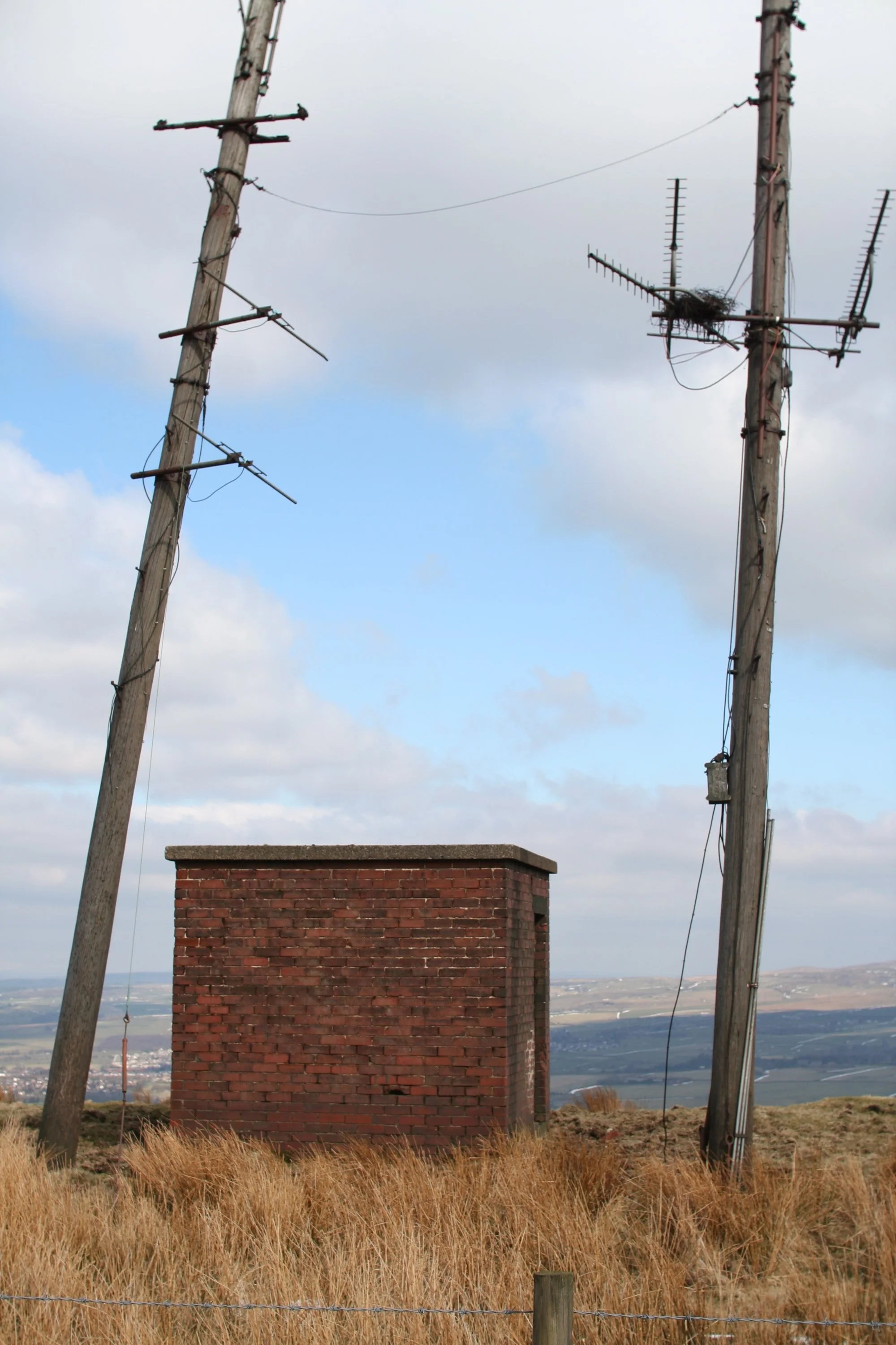 Singing Ringing Tree | Musical Sculpture in Burnley — tonkin liu