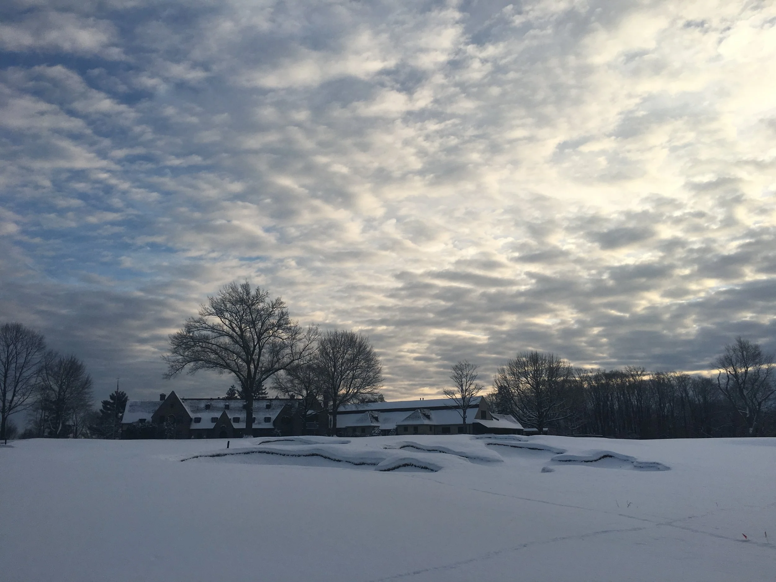 Starfish in Snow copy.JPG