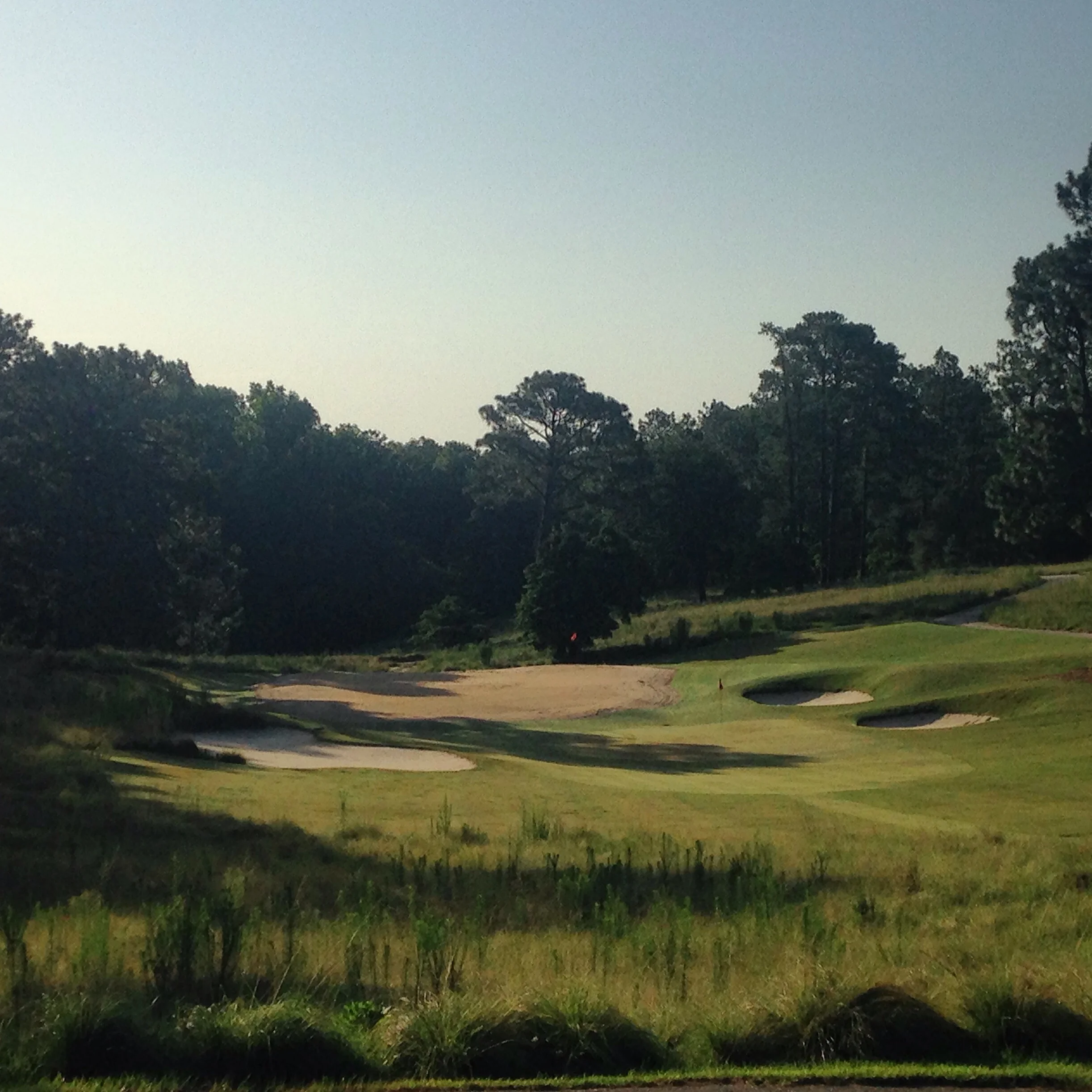 Pine Needles Greens Restoration 2.JPG