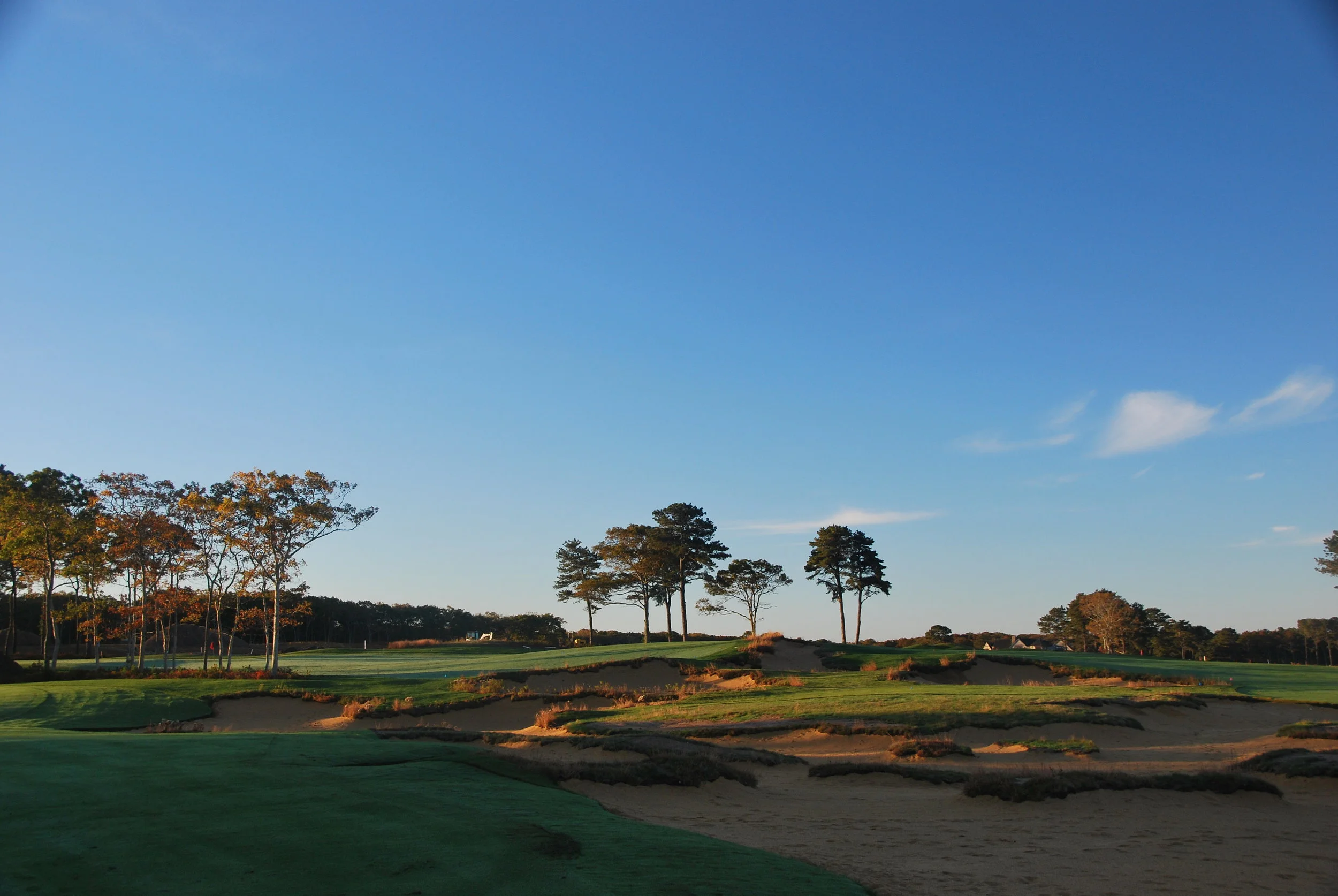 Vineyard Club #17 from 15 copy.JPG