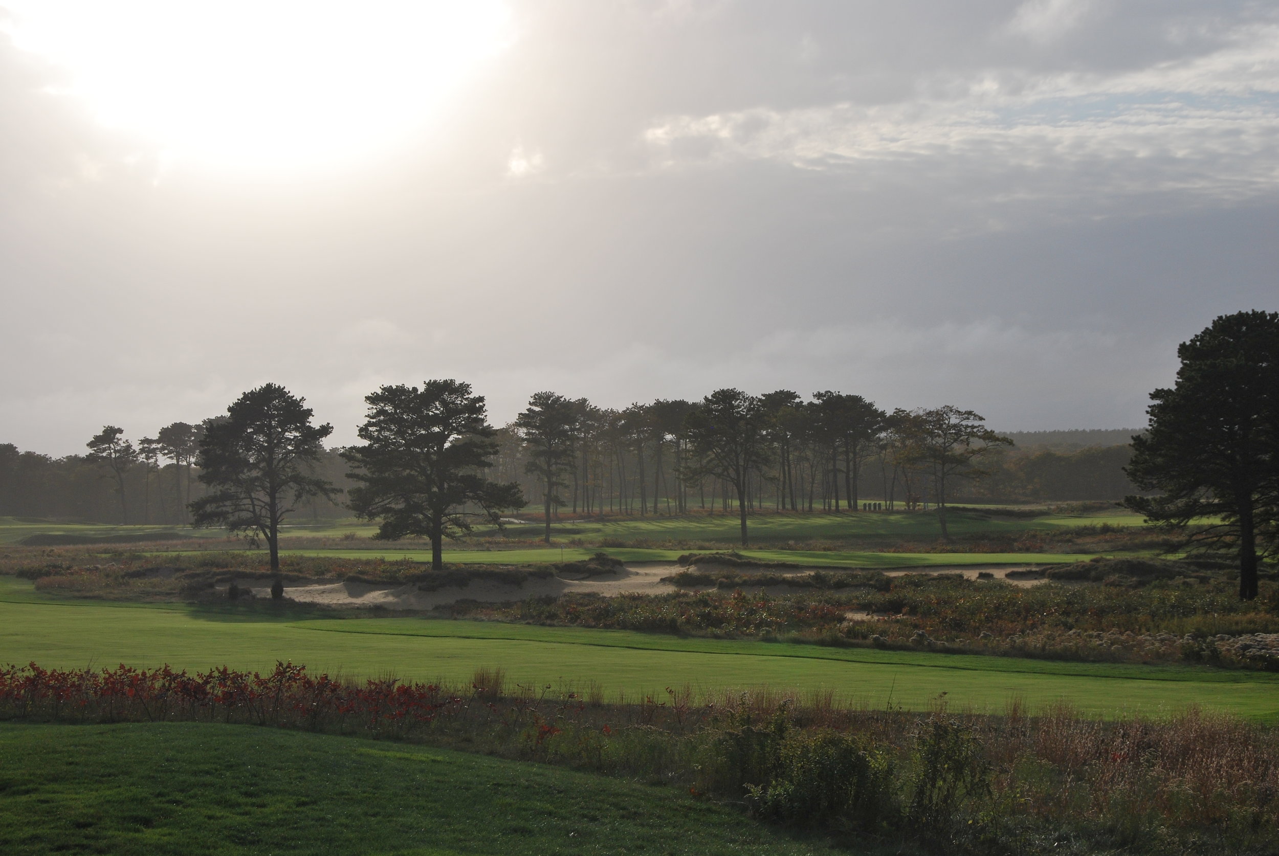 Vineyard Golf Club