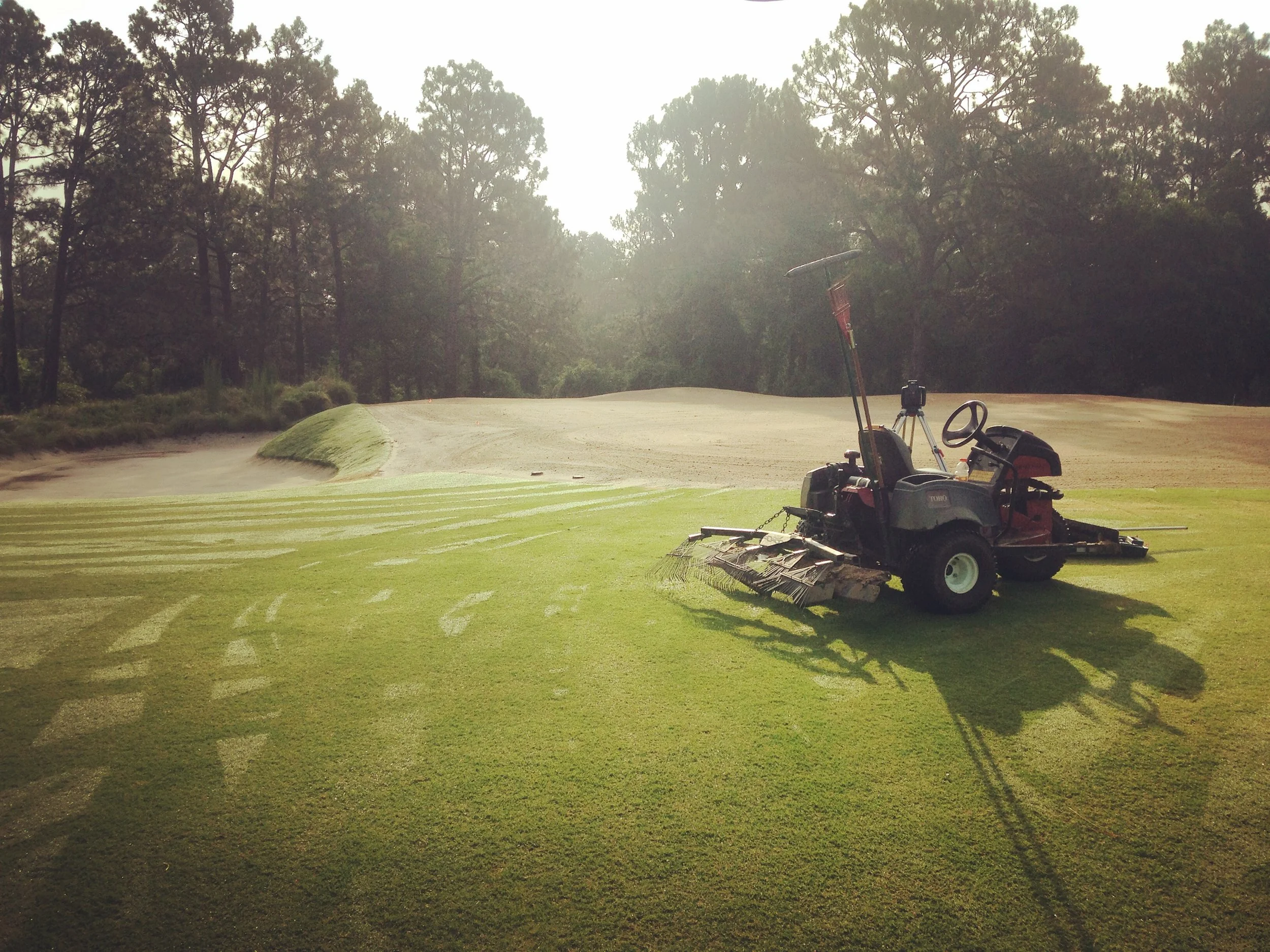 Pine Needles - Southern Pines, NC