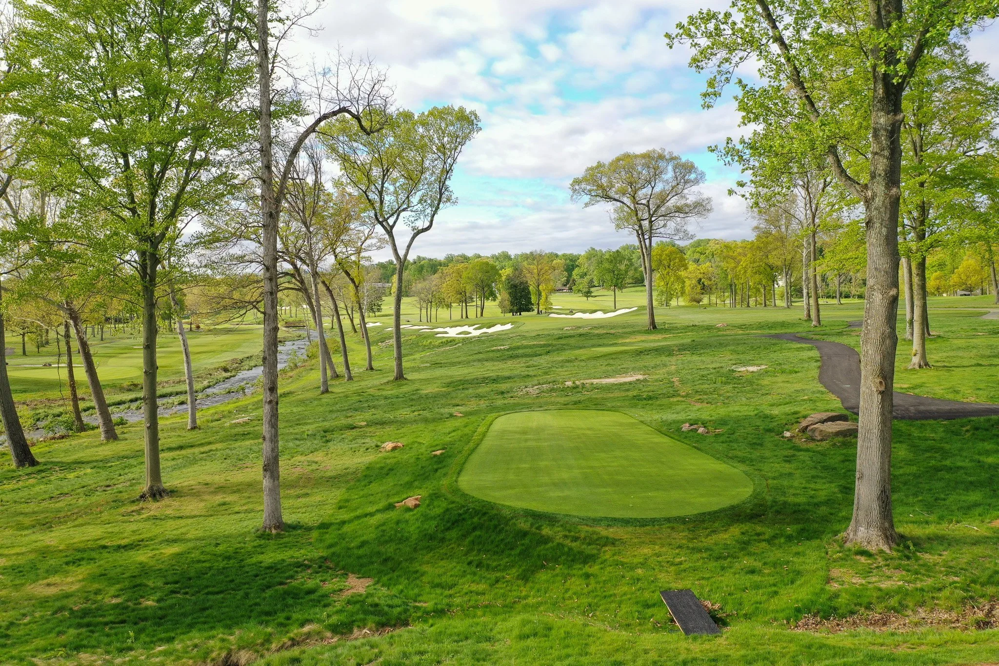 10+tee+1+bridge.jpg