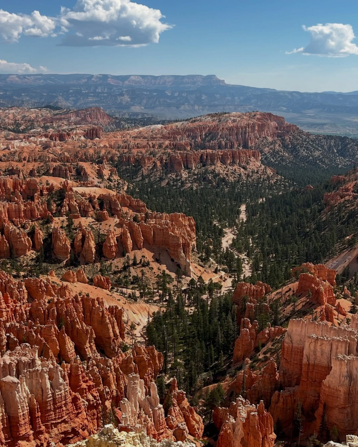A free day at National Parks and a celebration of liberation? Thank you, Juneteenth.

Our friends over at @landbeyondziontours said it best:

&ldquo;This day commemorates the effective end of slavery in the US!! Specifically, this is when news of the