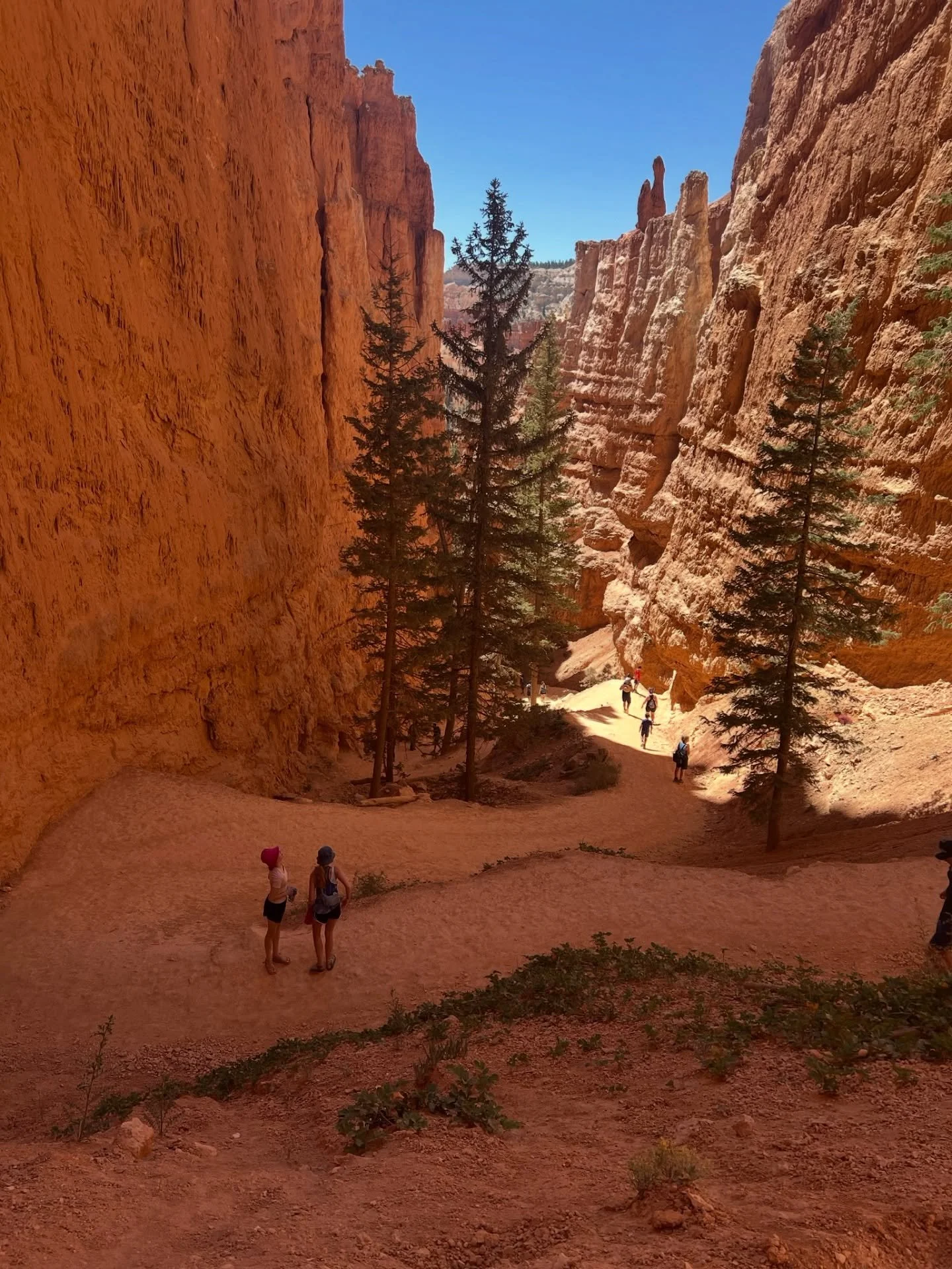 🚨 NPS UPDATE 🚨

Here&rsquo;s what to expect at our regional public lands in the wake of the government shutdown: 

✅ Utah&rsquo;s National Parks and federal lands remain
accessible, but services are limited. This includes @zionnps, @brycecanyonnps_