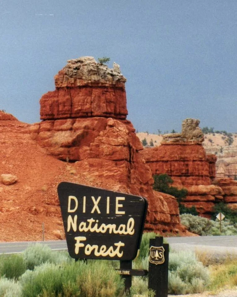 Dixie National Forest