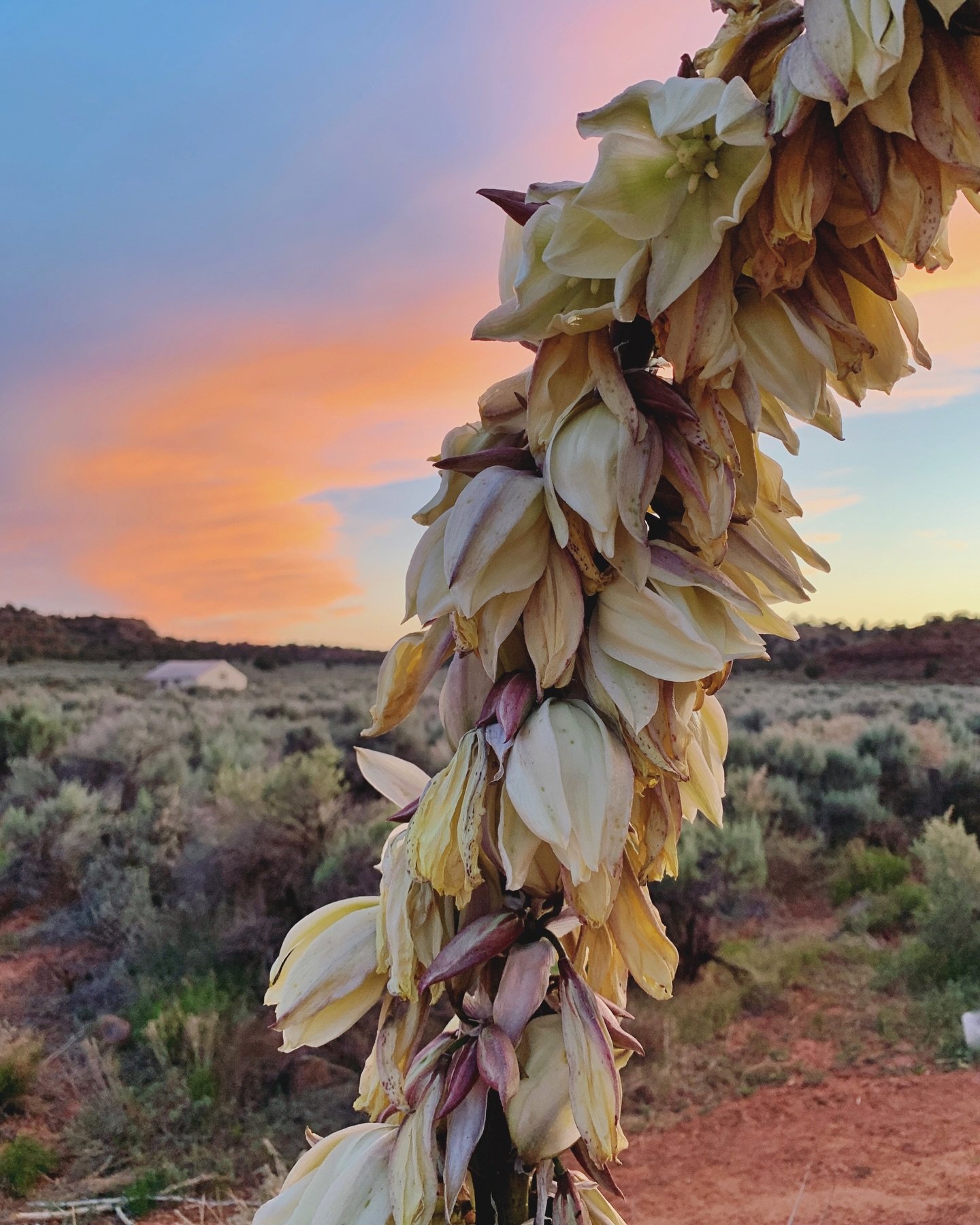 Happy First Day of Spring! 🌸🤠⛺️

Spring equinox, it&rsquo;s a big one folks. Here&rsquo;s a little peek into what's happening ⬇️

Today, the sun crosses the celestial equator, which means day and night are almost exactly equal. From here, the North