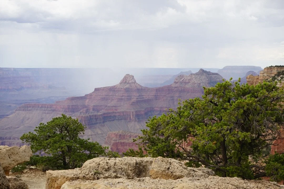🚨 Big News Coming in From Grand Canyon 🚨

Details below ⬇️ 

Grand Canyon National Park Announces 2026 North Rim Summer Season Access

Grand Canyon National Park will welcome visitors back to the North Rim for the 2026 summer season beginning at 6 