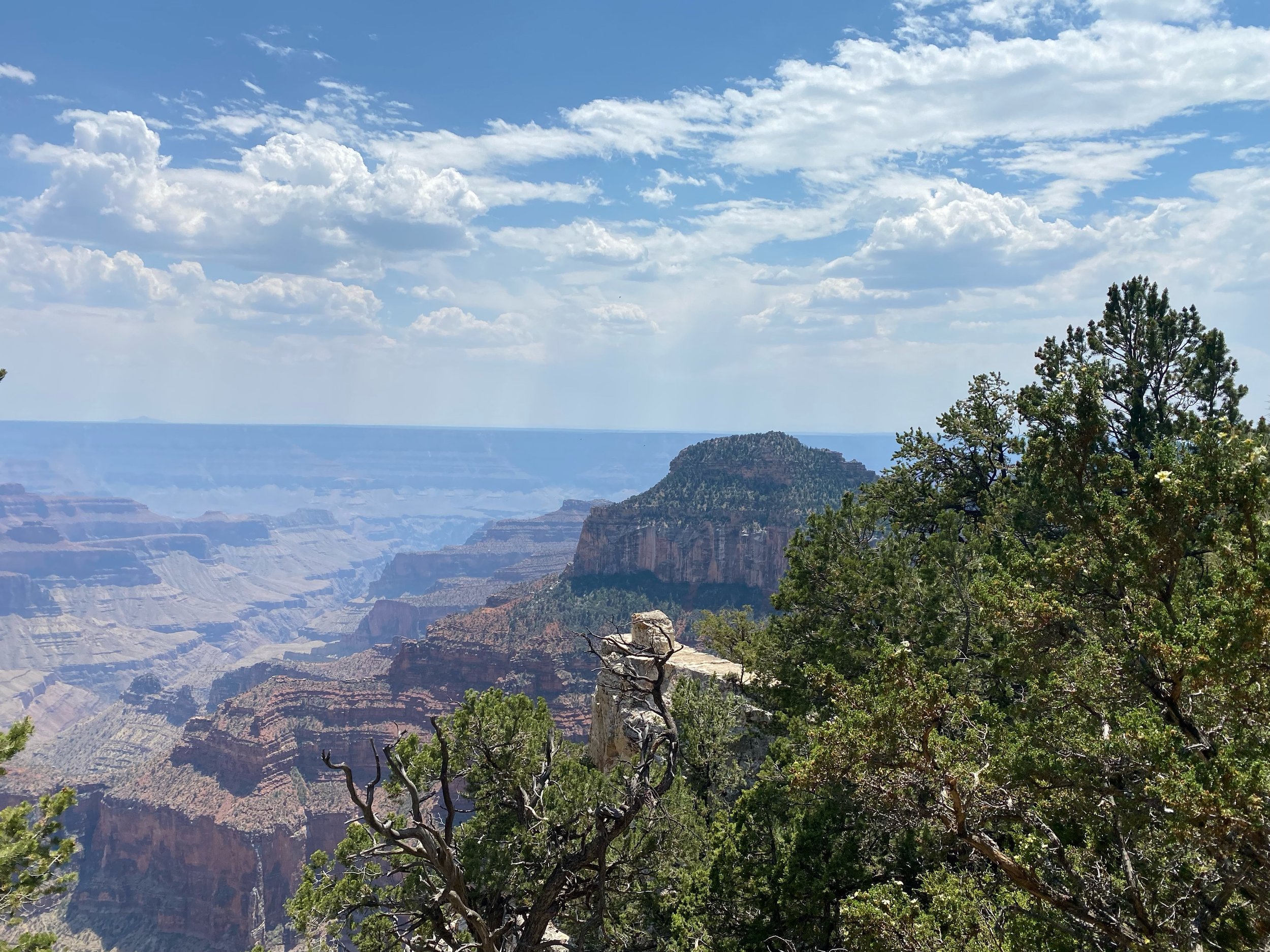 Happy North Rim Opening Day to all who celebrate. 🤠

For the latest and greatest on what&rsquo;s open, head to @grandcanyonnps or here ➡️ https://www.nps.gov/grca/northrimstatus.htm

#basecamp37 #basecampkanab #northrim #grandcanyon