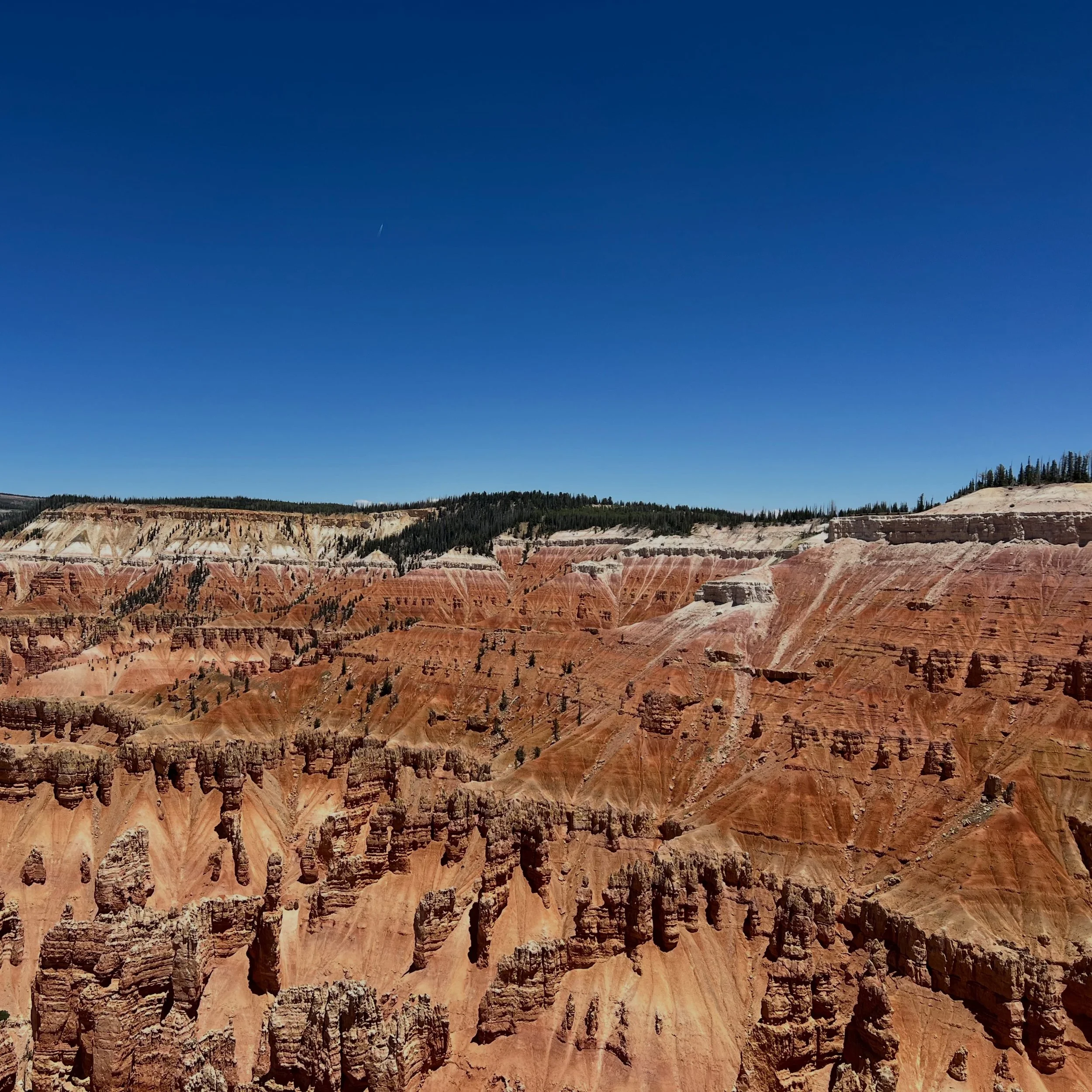 Our go-to Memorial Day plans: head to the high country. 🤠

As of May 15th, the North Rim of the Grand Canyon opened for the season. But also recently reopened is lesser known National Monument, @cedarbreaksnps, that rivals the landscapes of Bryce Ca