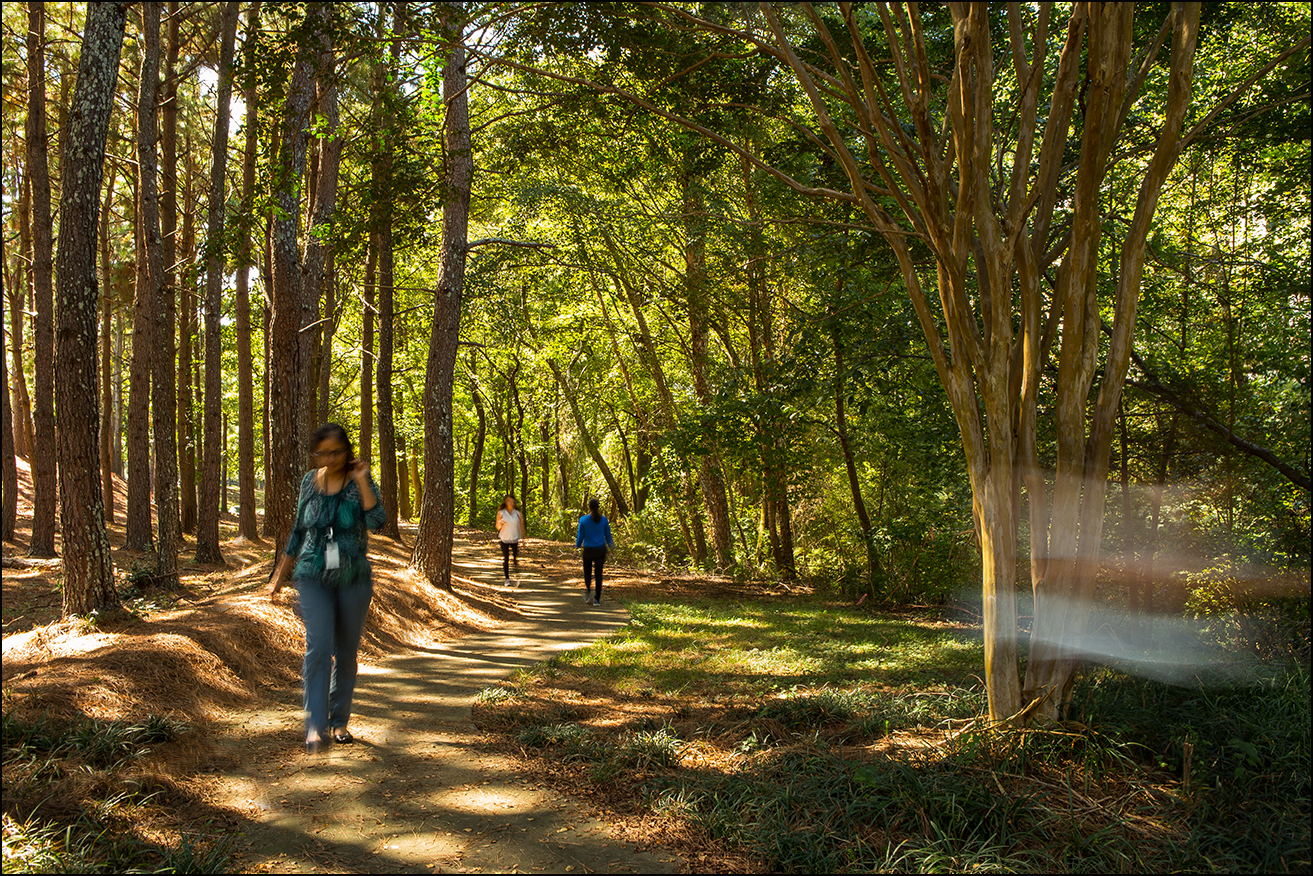 Walk along the Alpha Loop