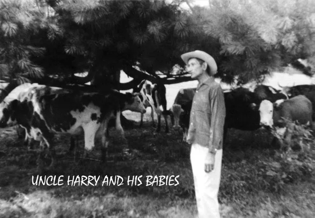 harry tapscott pho02137.jpg