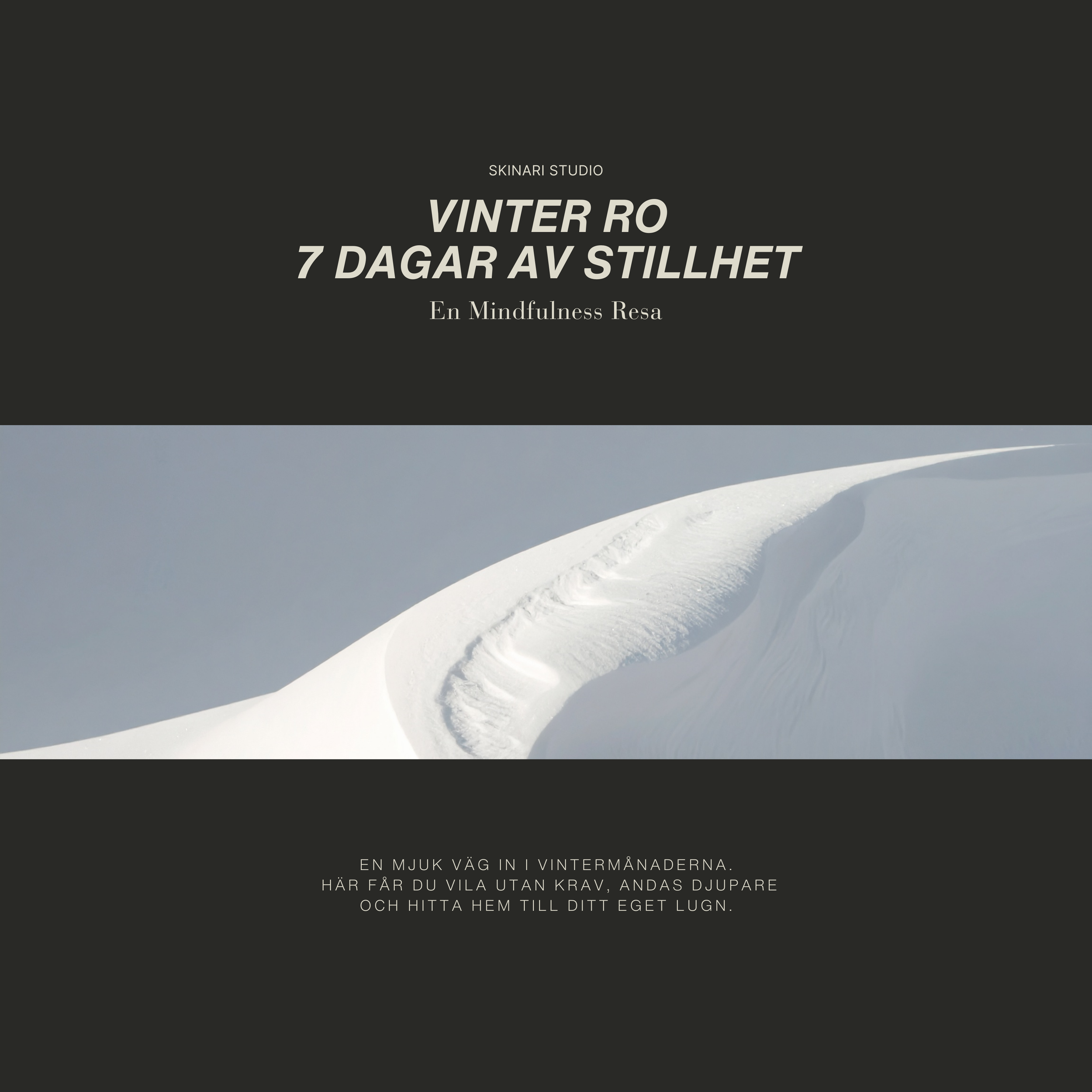 Vinter Ro - 7 Dagar Av Stillhet