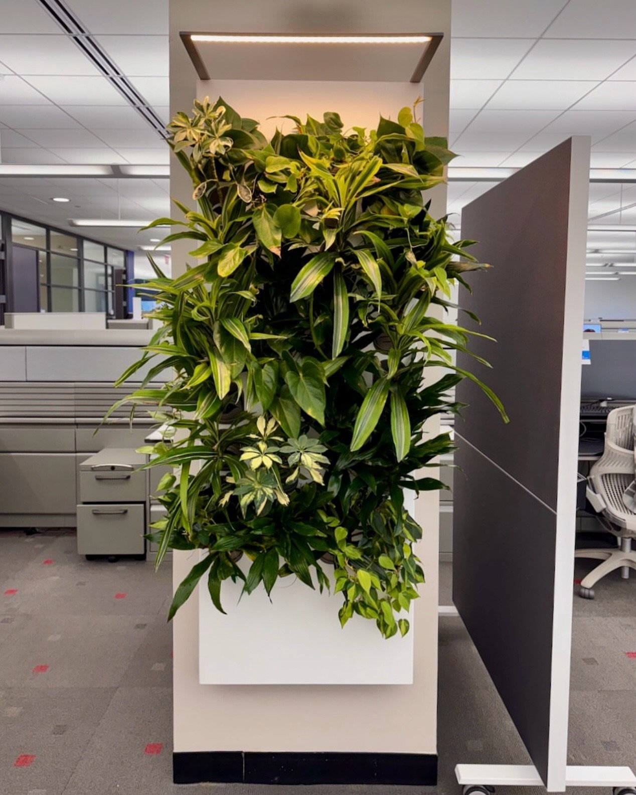 A major financial institution wanted to transform their office columns into lush, green focal points &mdash; without skyrocketing maintenance costs. Enter Biome. 🌿✨ 

Biome&rsquo;s automated plant care system keeps this space vibrant with minimal up