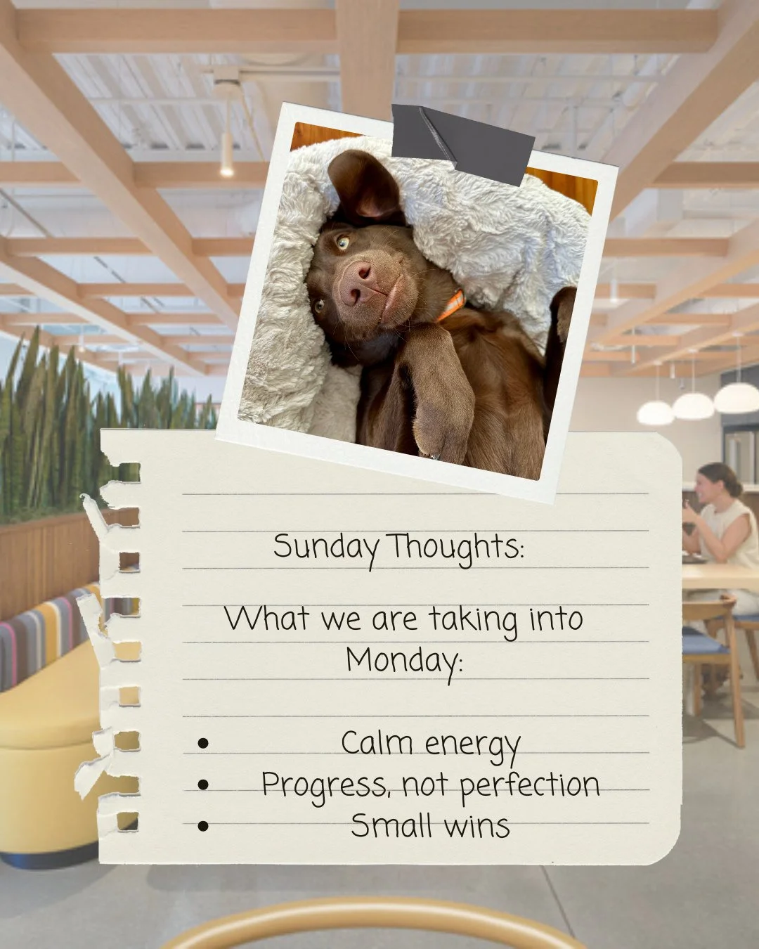 Going into the week: Calm, cool and collected. ✨️