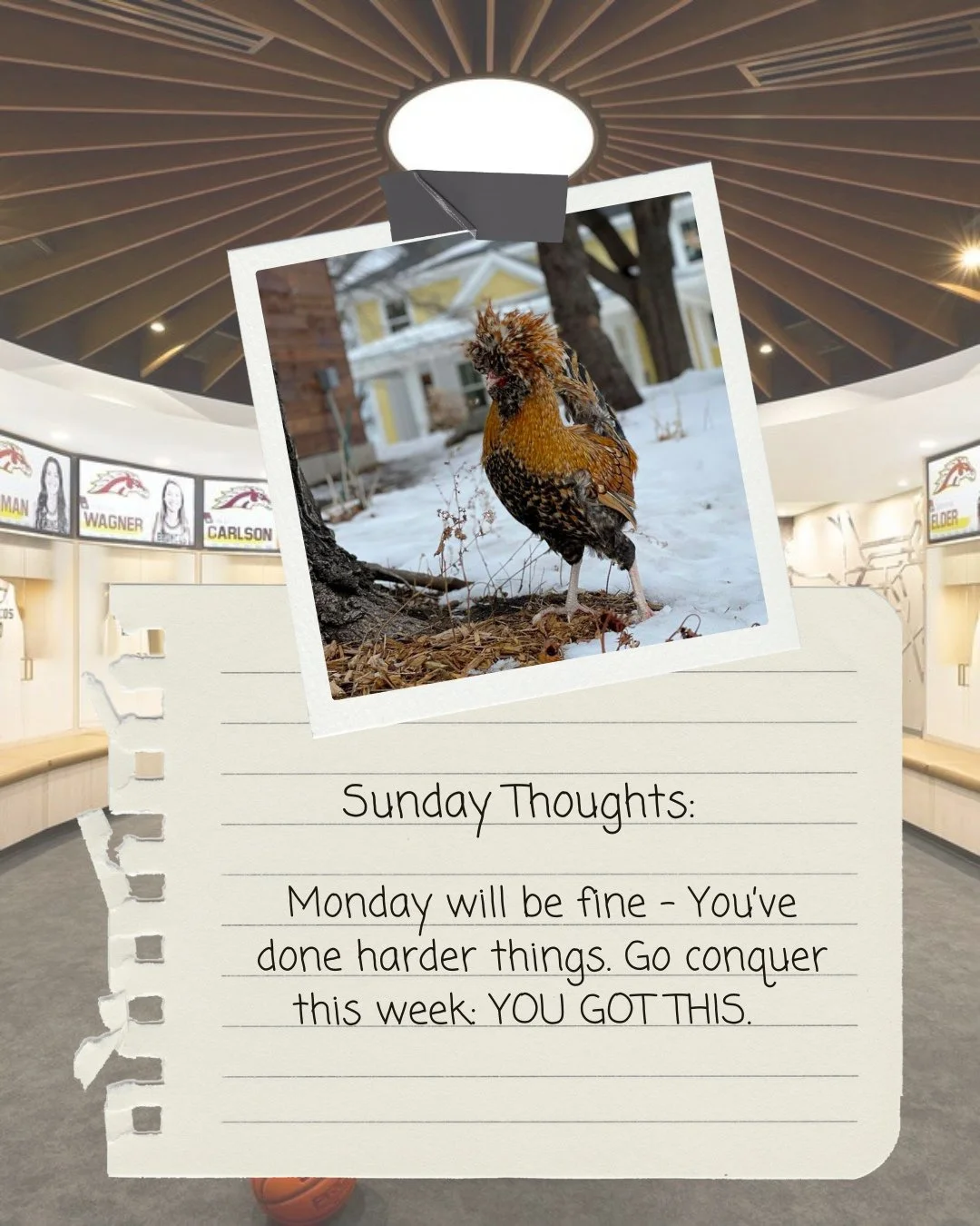 Go on....DO IT ✨️ Go conquer this week 💪🏼