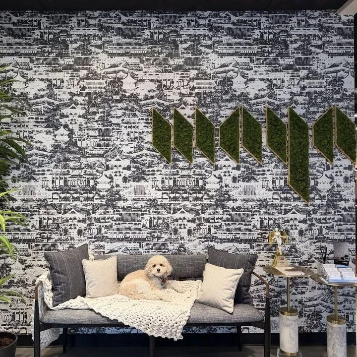 Meet Daisy Romanoff, the youngest and furriest employee at MAYA HQ in Skokie, Illinois.⁠
⁠
When not answering the door, Daisy can be found on the laps of many of the employees, and being the bestest friend to everyone 🐶⁠
⁠
Daisy loves the Serigraph 