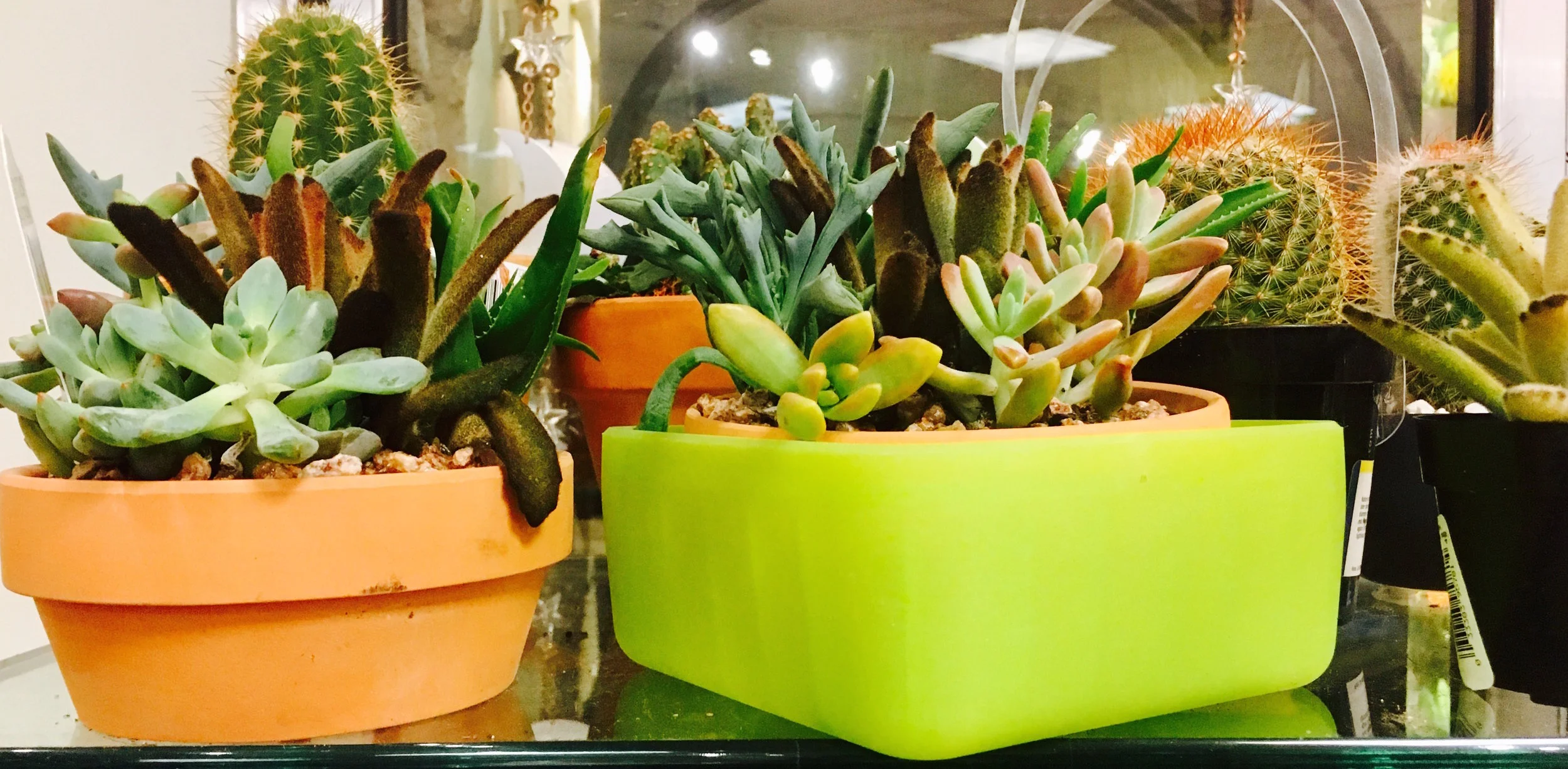 Frego_fretogrow_earthday_02_straight_crop.jpeg