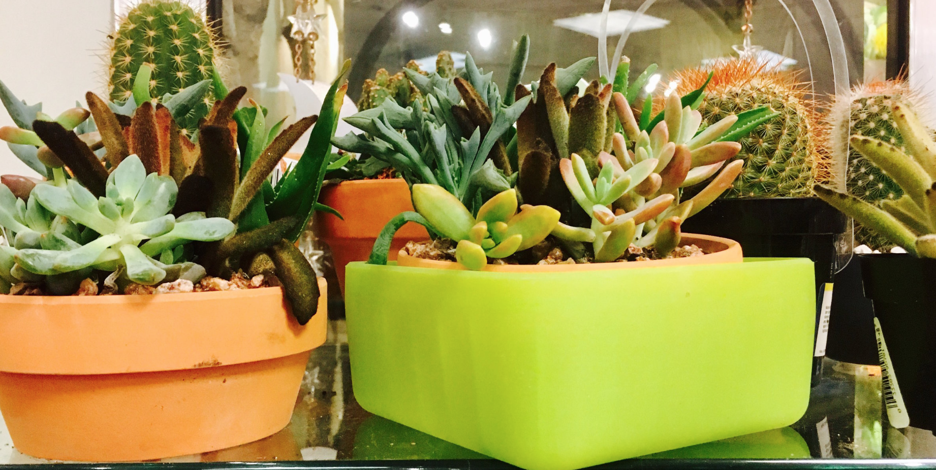 This Earth Day, Be freToGrow
