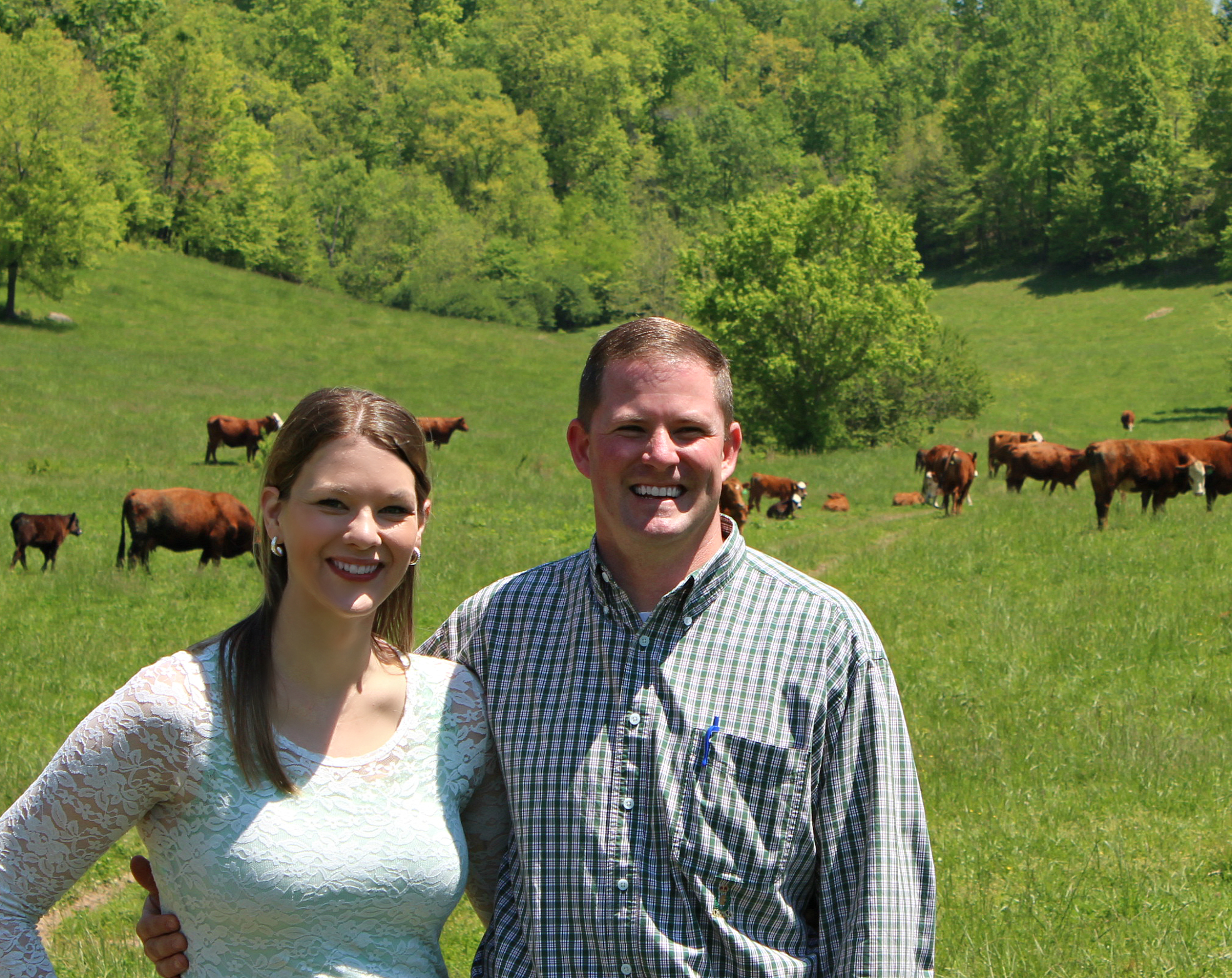 LN BN Cows May For Real.jpg
