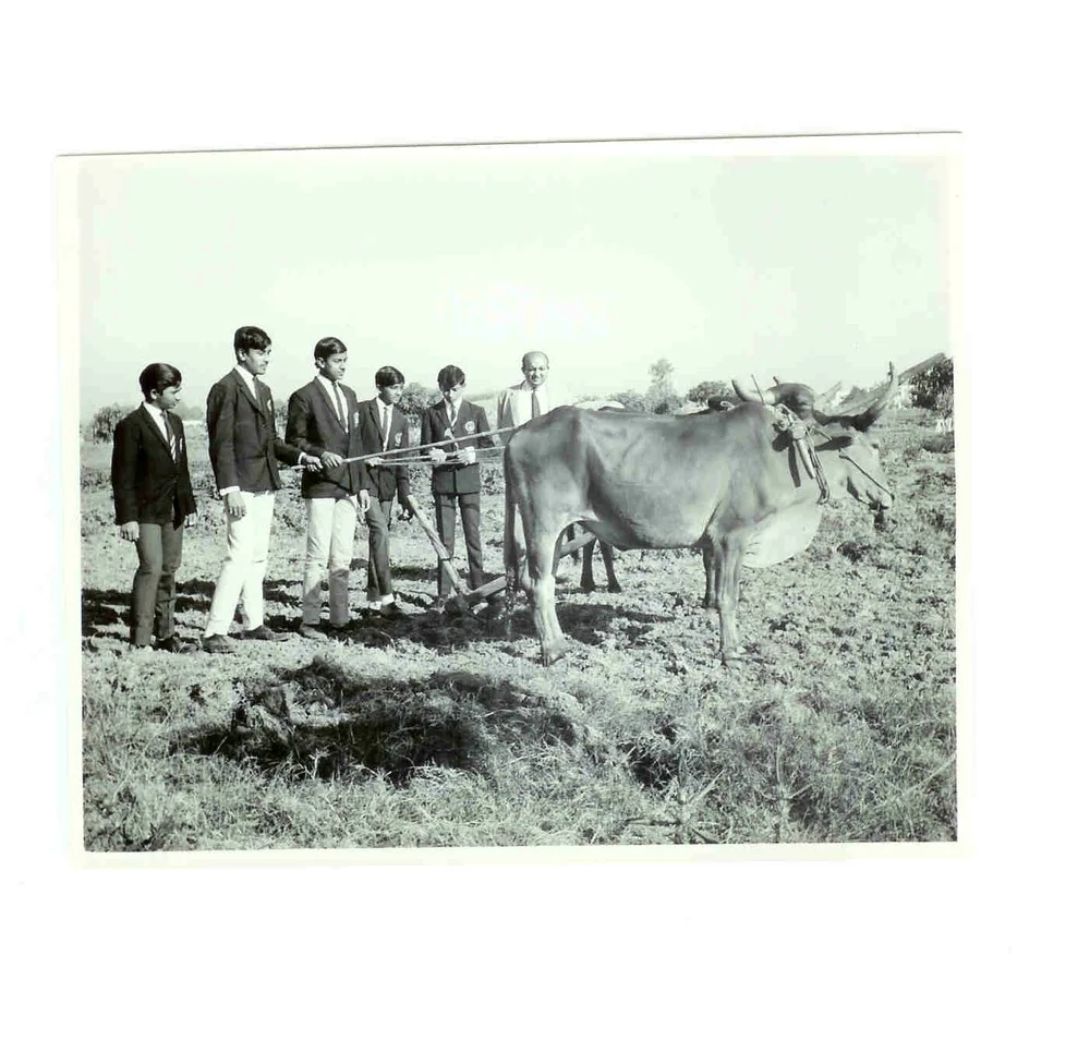 Patel, Narendra J 002.jpg