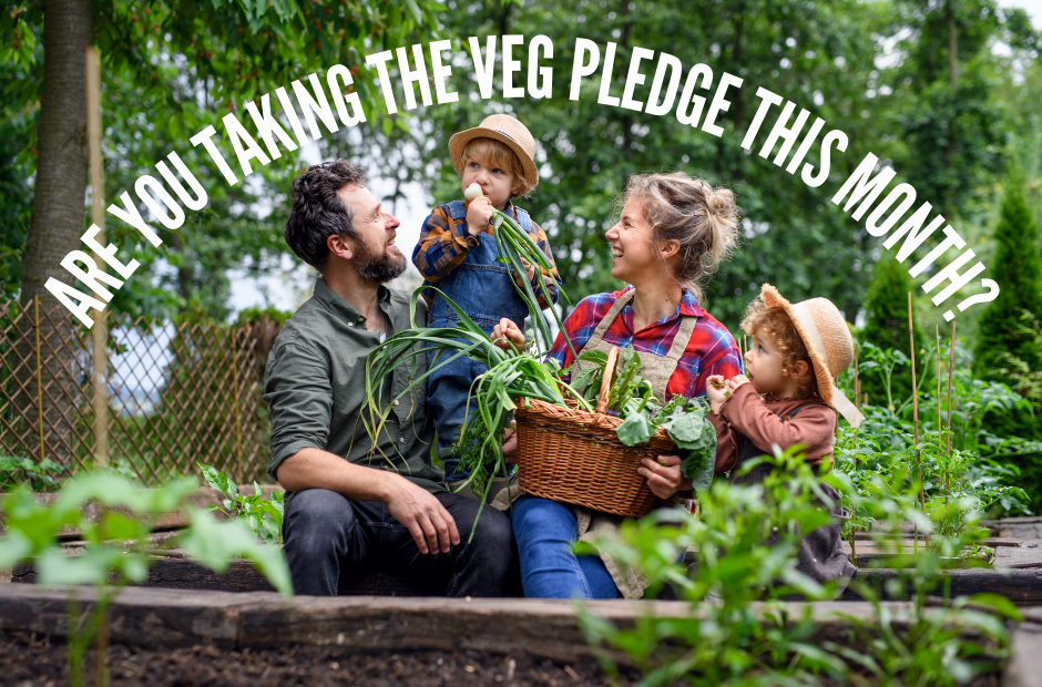 Make a Pledge