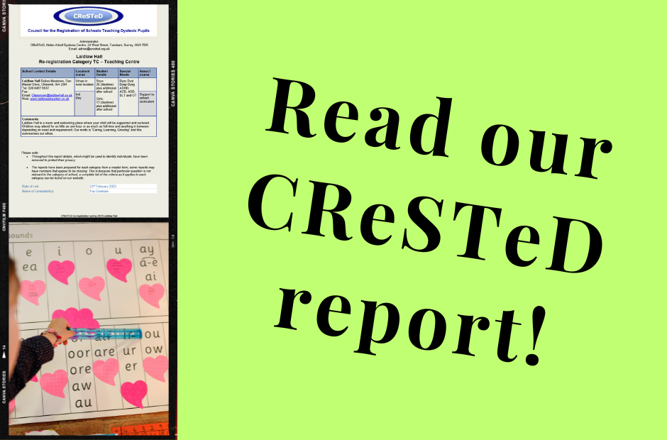 Our outstanding CReSTeD Report!