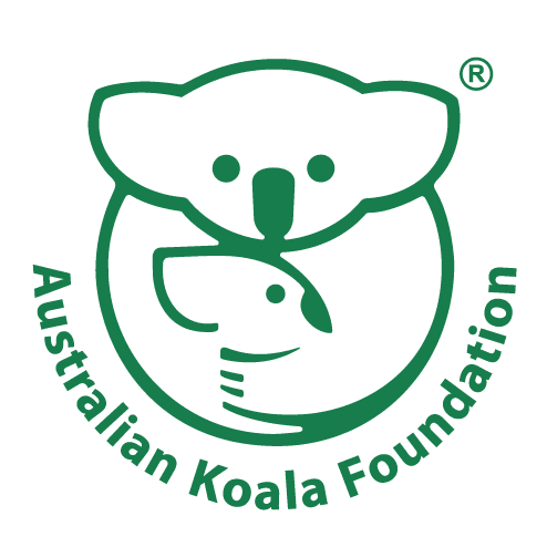 australian-koala-foundation-18c8f96d-df4d-4c9c-aa2e-4e47acd55a5-resize-750.png