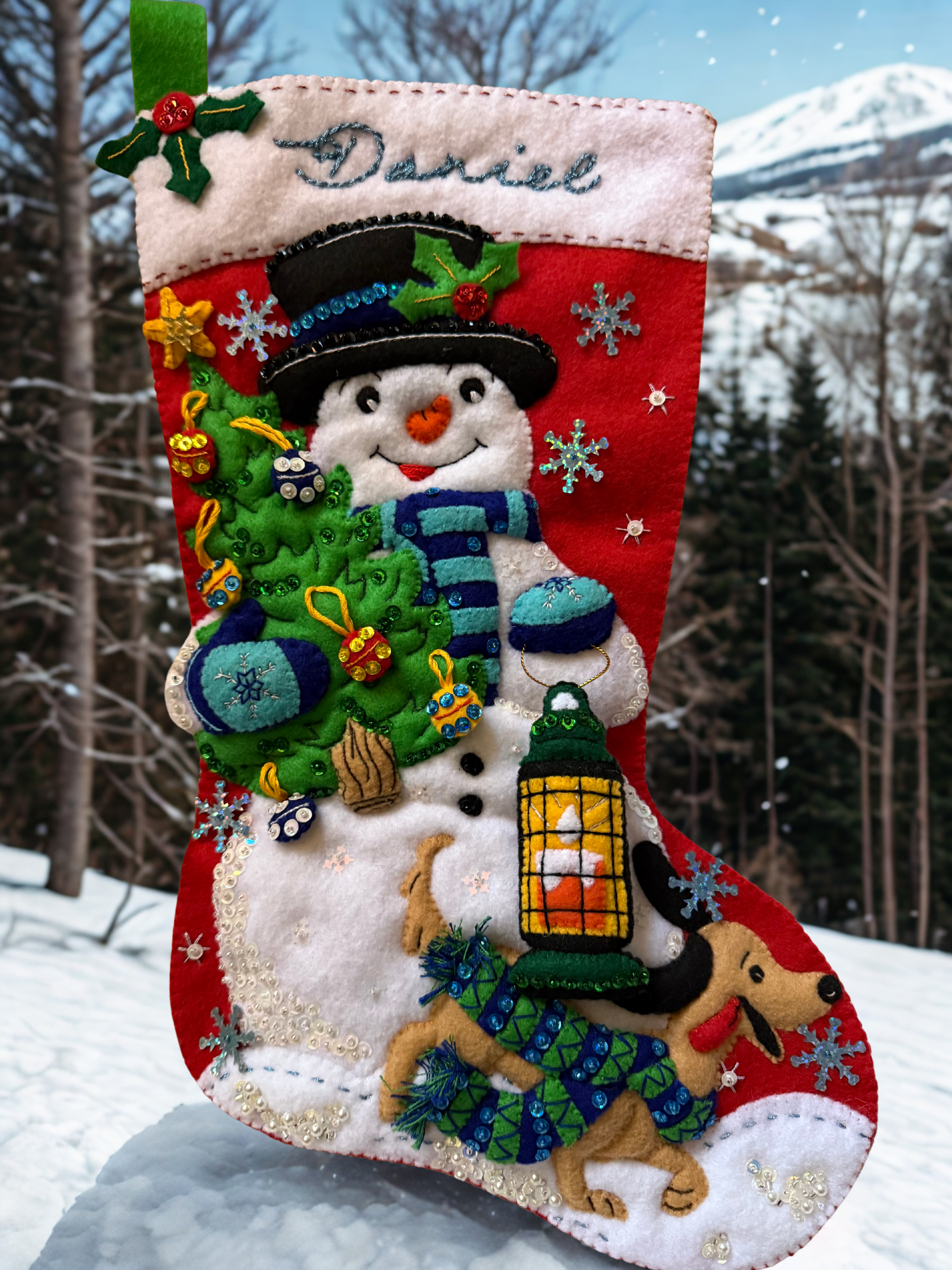 Daniel Stocking Frosty Christmas Tree.png