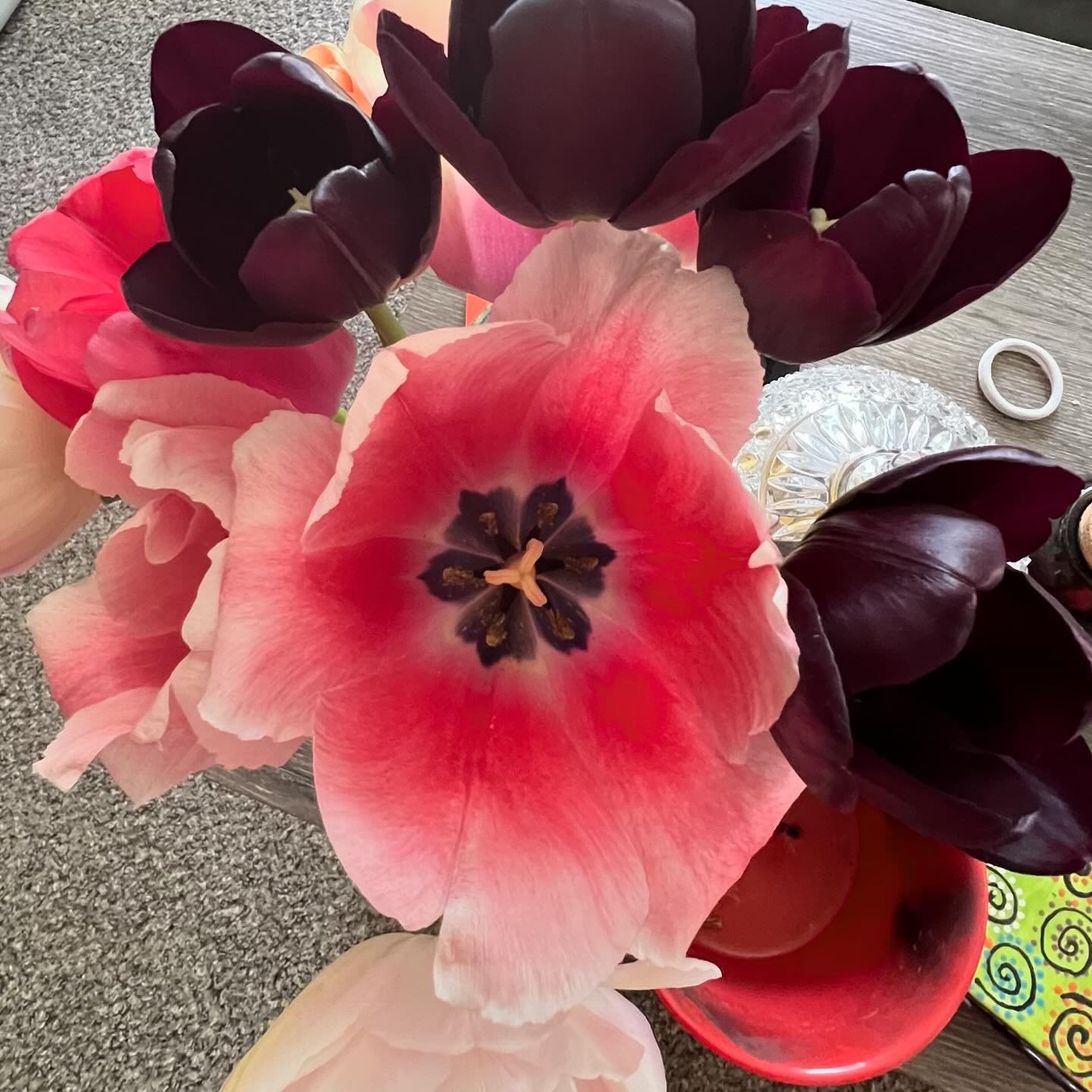 Jeff stopped the other day and got me a bouquet of tulips from a local farm and I&rsquo;m obsessed with the blooms 😍😍 

It&rsquo;s really nice to get flowers for no reason at all, when you least expect it 🥰🥰. He worked 7 days last week, a 10 or 1