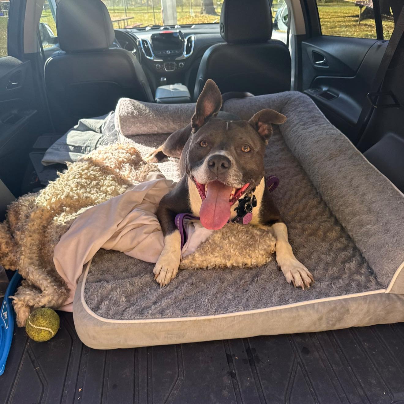 Hi, 👋 my name is Kelly. My toxic trait is refusing to remember I have neurological deficits, and that if I close my eyes, whilst bringing my mug to my face, I absolutely will NOT make it to my mouth with my coffee cup, without dribbling it all down 