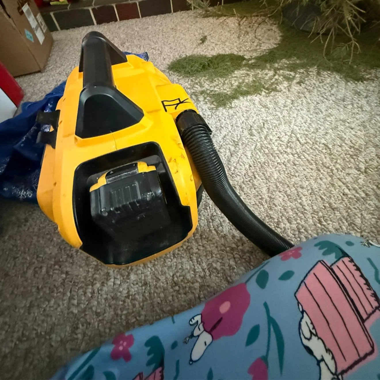 Every day has felt like a Sunday since, like, last Thursday. 
Today? ￼
No different. 
I think my brain just chooses to believe December 26th-31st just don&rsquo;t exist every year. 
And then on the first of the year it&rsquo;s like &ldquo;annnnnd we&