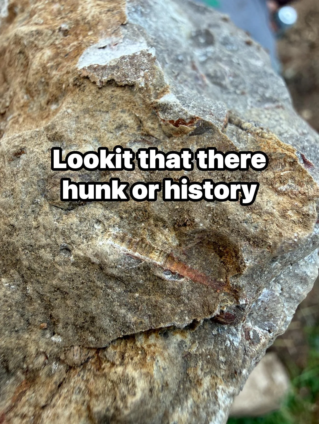 Found in dirt from our place.
See&hellip; pre-cyborg Kelly would be out in that 300 ft trench fossil hunting obsessively and with glee, right now. Post-cyborg Kelly will have to trust that Jeff will continue to spot and save them for me, like he did 