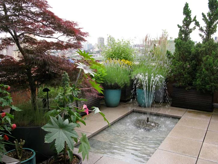 bhg_pent_5755.jpg