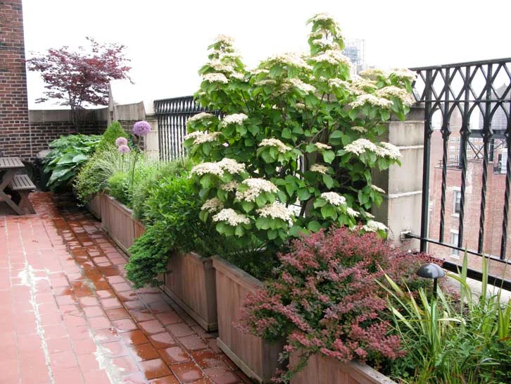 bhg_pent_5702.jpg