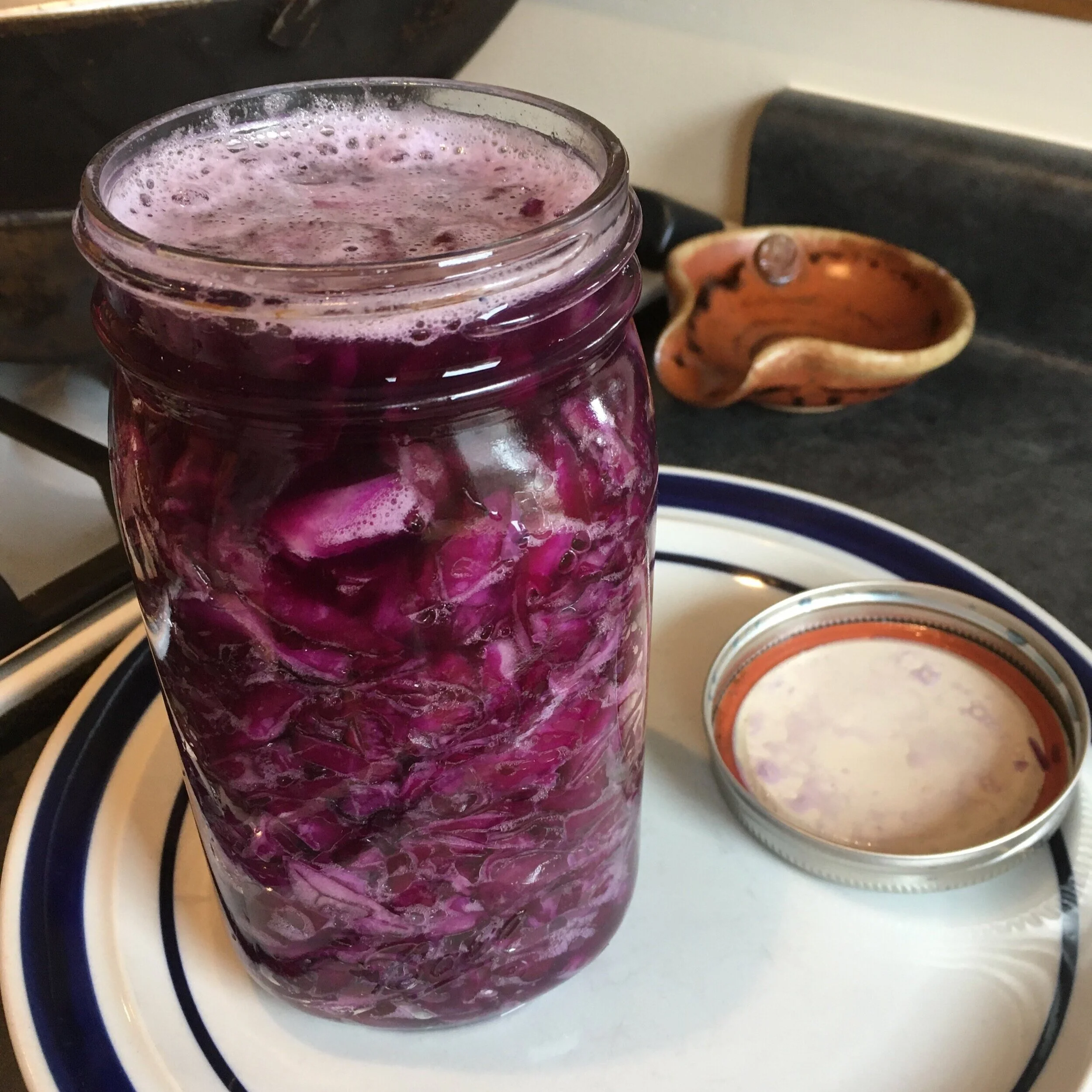 Purple+cabbage+sauerkraut