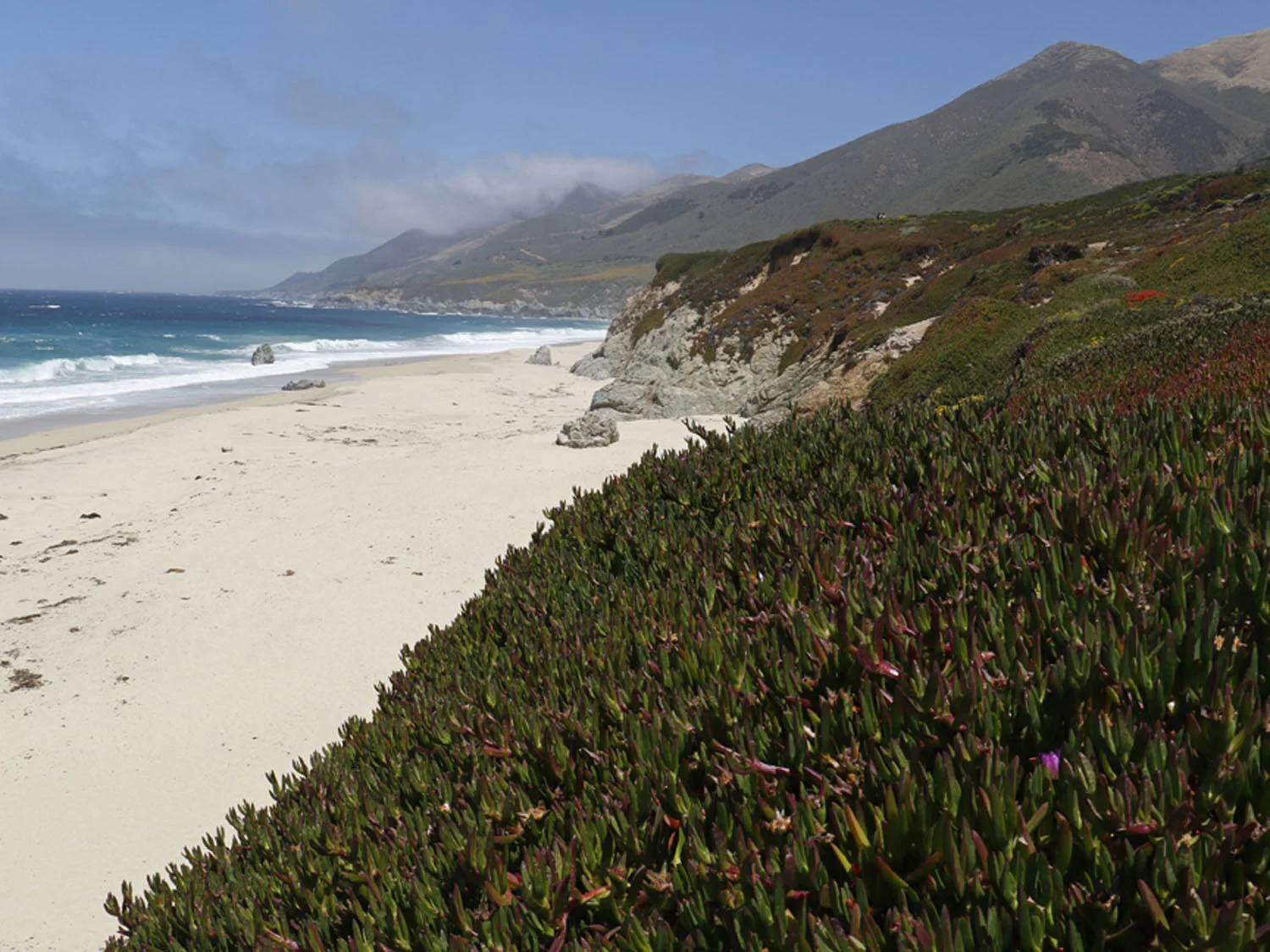 west coast