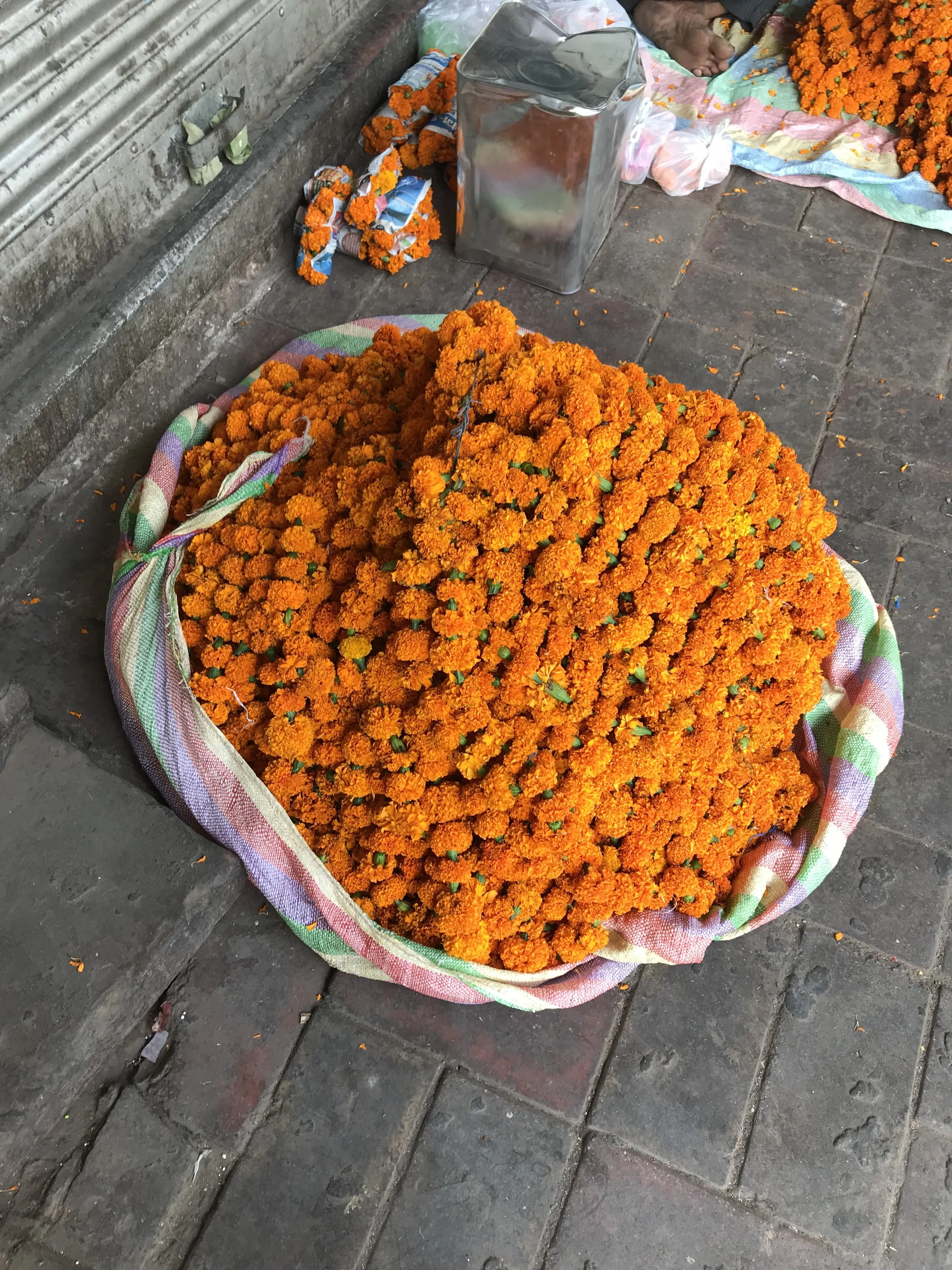 NOVEMBER 2018 Diving into Ayurveda with EndorphinGirl®